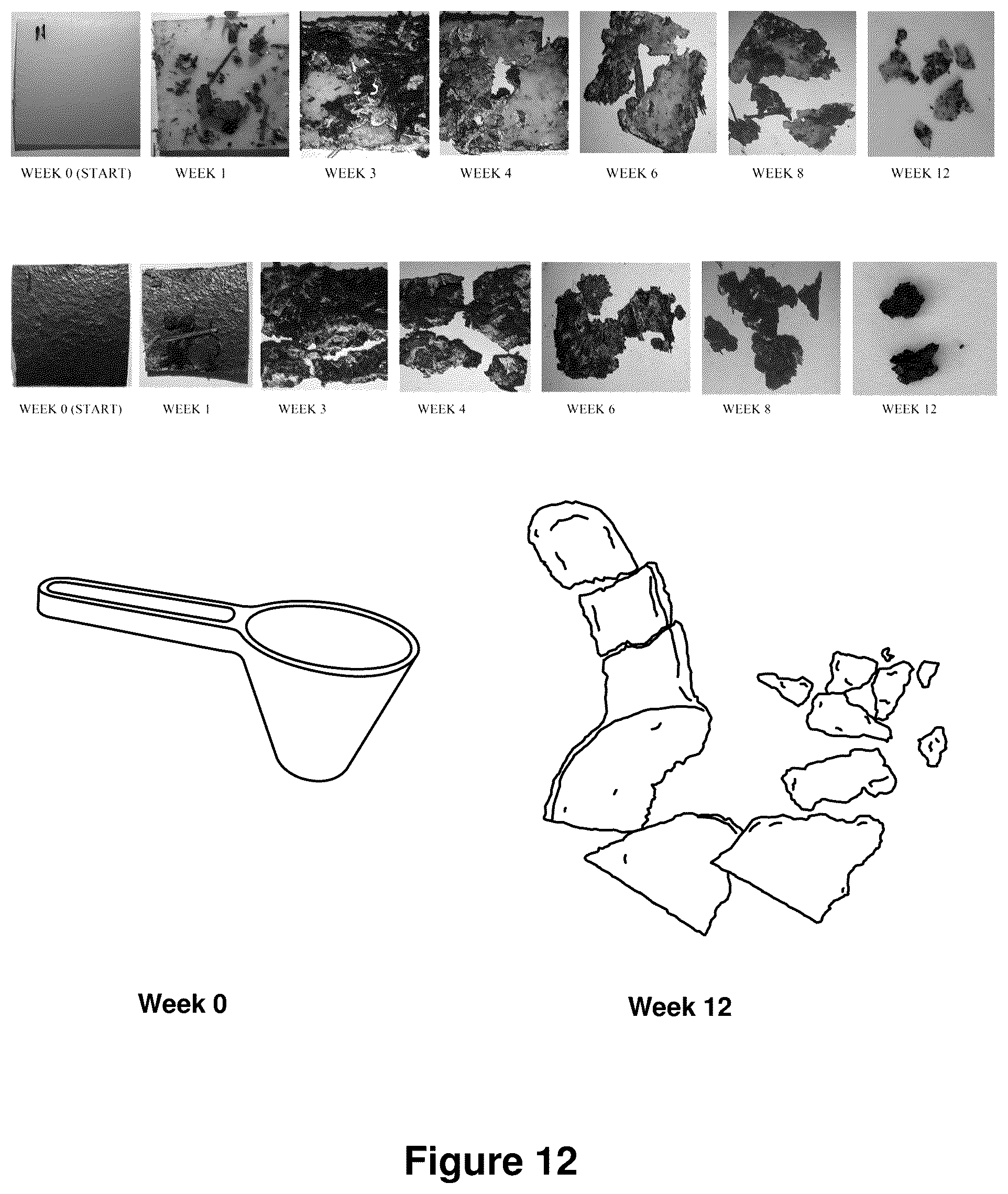 Patent US12325798 Figure 16 – Compositions containing lignocellulosic biomass residues, polymer composites made therefrom, and methods of making lignocellulosic biomass residues and polymer composites containing them