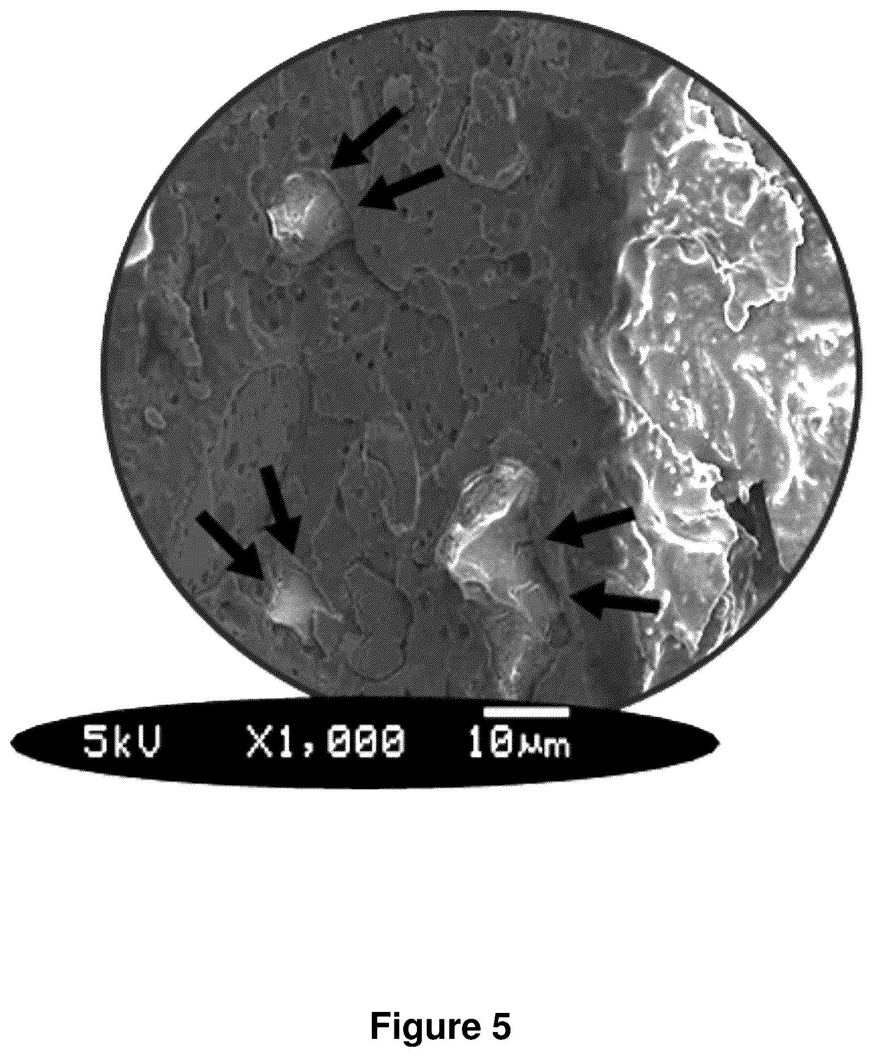 Patent US12325799 Figure 6 – Compositions containing lignocellulosic biomass residues, polymer composites made therefrom, and methods of making lignocellulosic biomass residues and polymer composites containing them