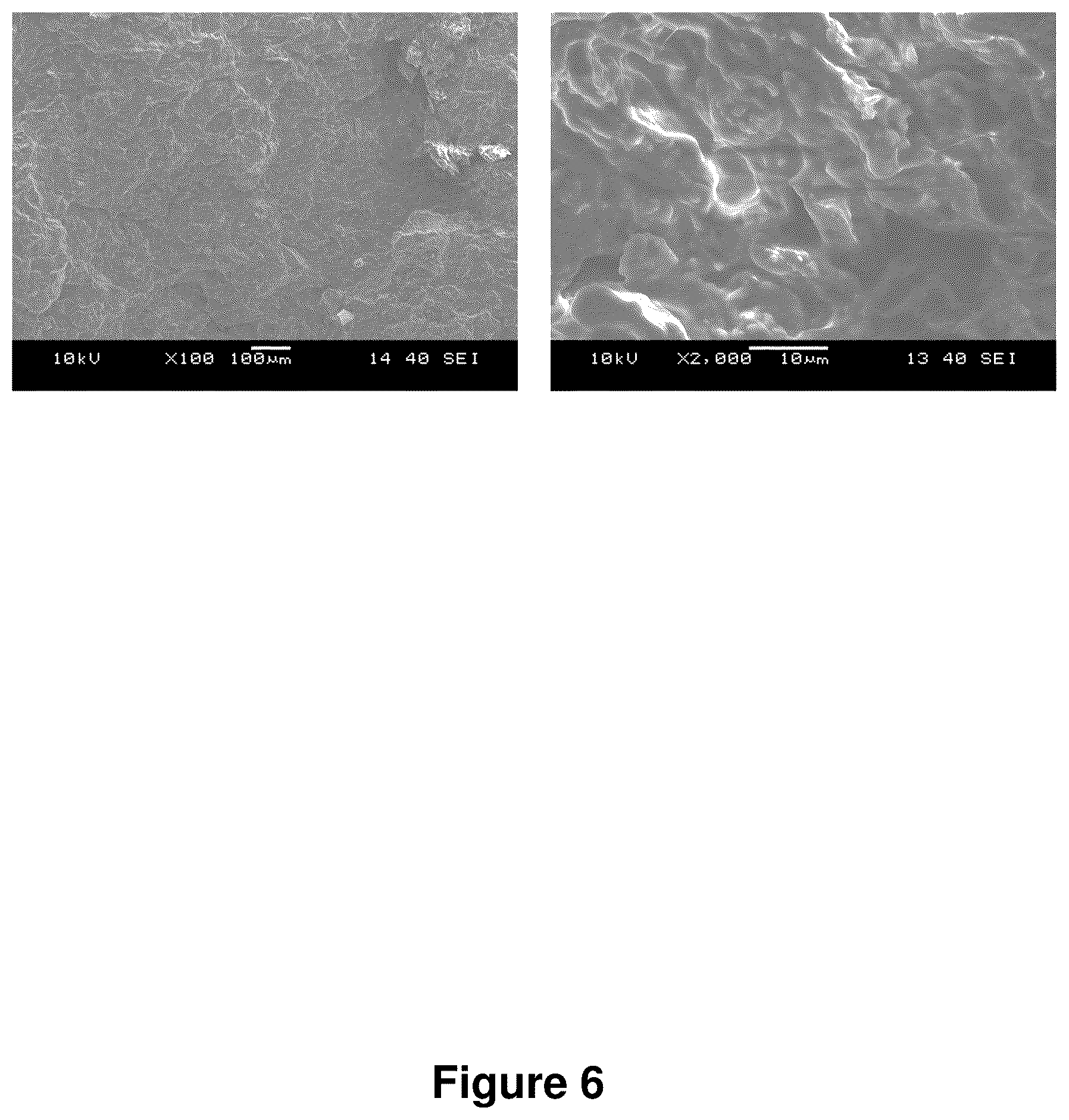 Patent US12325799 Figure 7 – Compositions containing lignocellulosic biomass residues, polymer composites made therefrom, and methods of making lignocellulosic biomass residues and polymer composites containing them