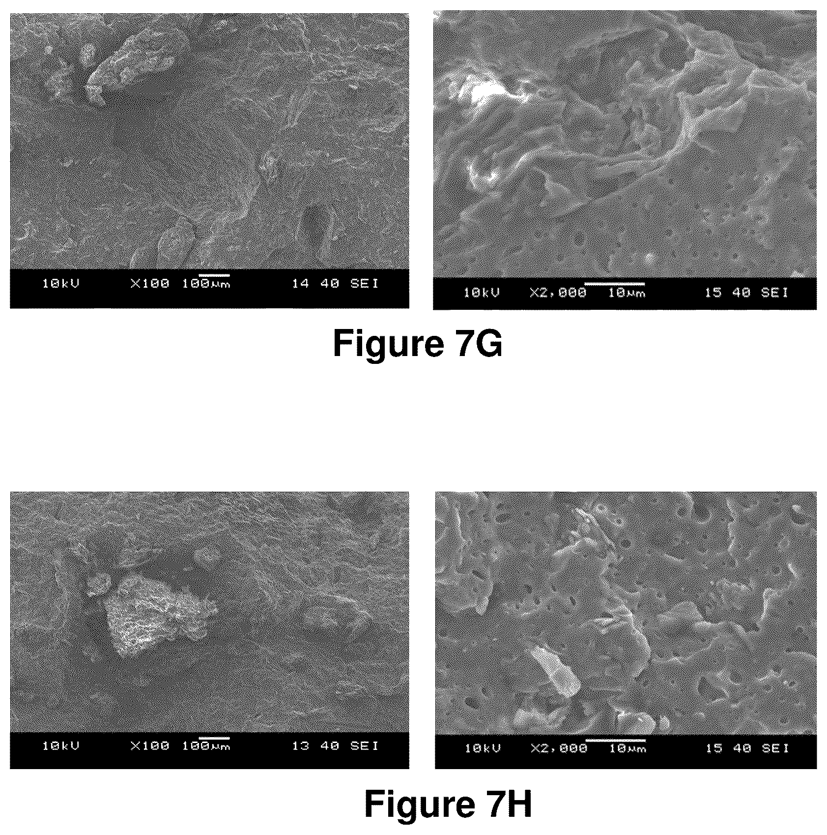 Patent US12325799 Figure 11 – Compositions containing lignocellulosic biomass residues, polymer composites made therefrom, and methods of making lignocellulosic biomass residues and polymer composites containing them