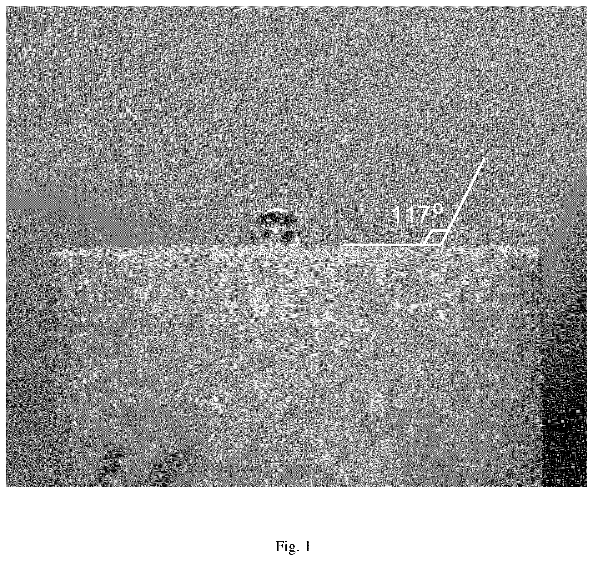 Patent US12325824 Figure 1 – Composition and method for improving the production of petroleum hydrocarbons