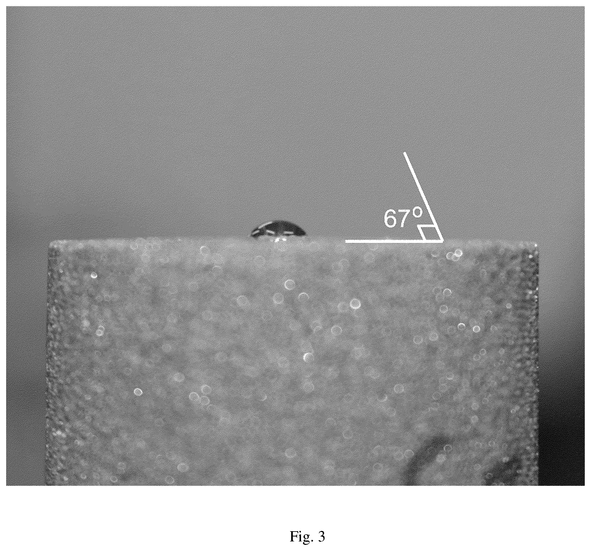 Patent US12325824 Figure 3 – Composition and method for improving the production of petroleum hydrocarbons