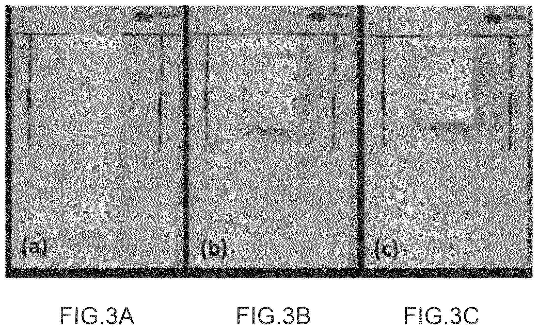 Patent US12325842 Figure 2 – Decontamination paste consisting of clays and microfibers and method for decontaminating a solid material using said paste