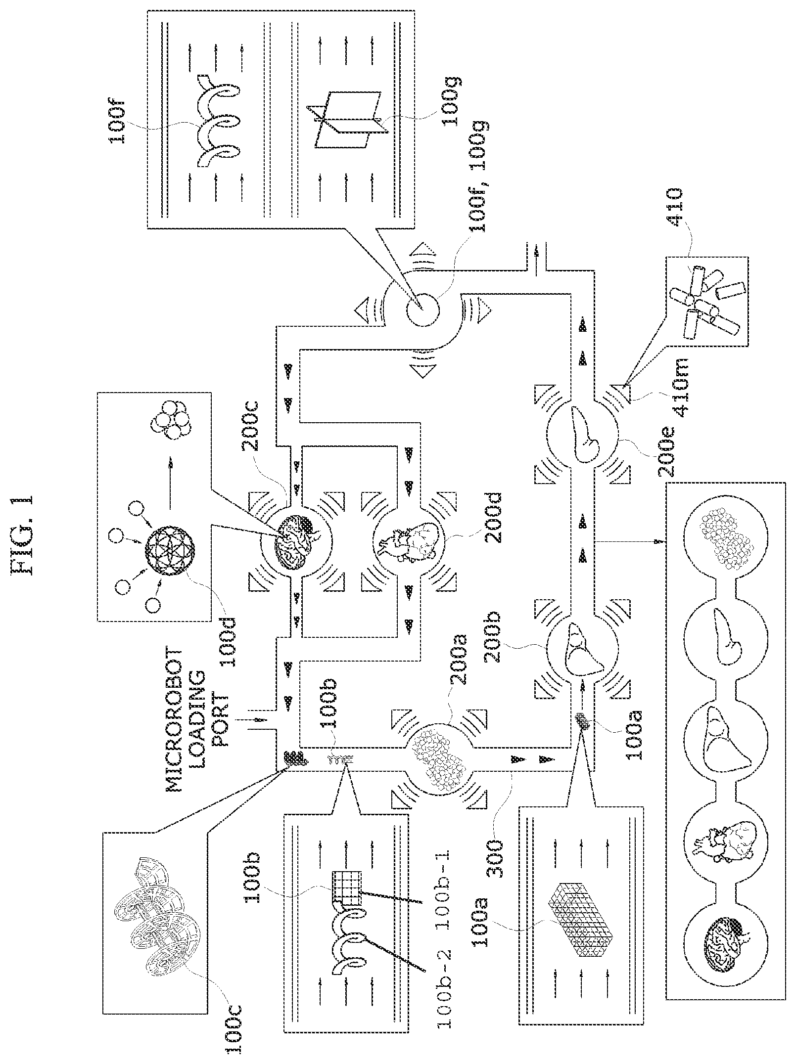 Patent US12325850 Figure 1 – Microrobot-based biomimetic system