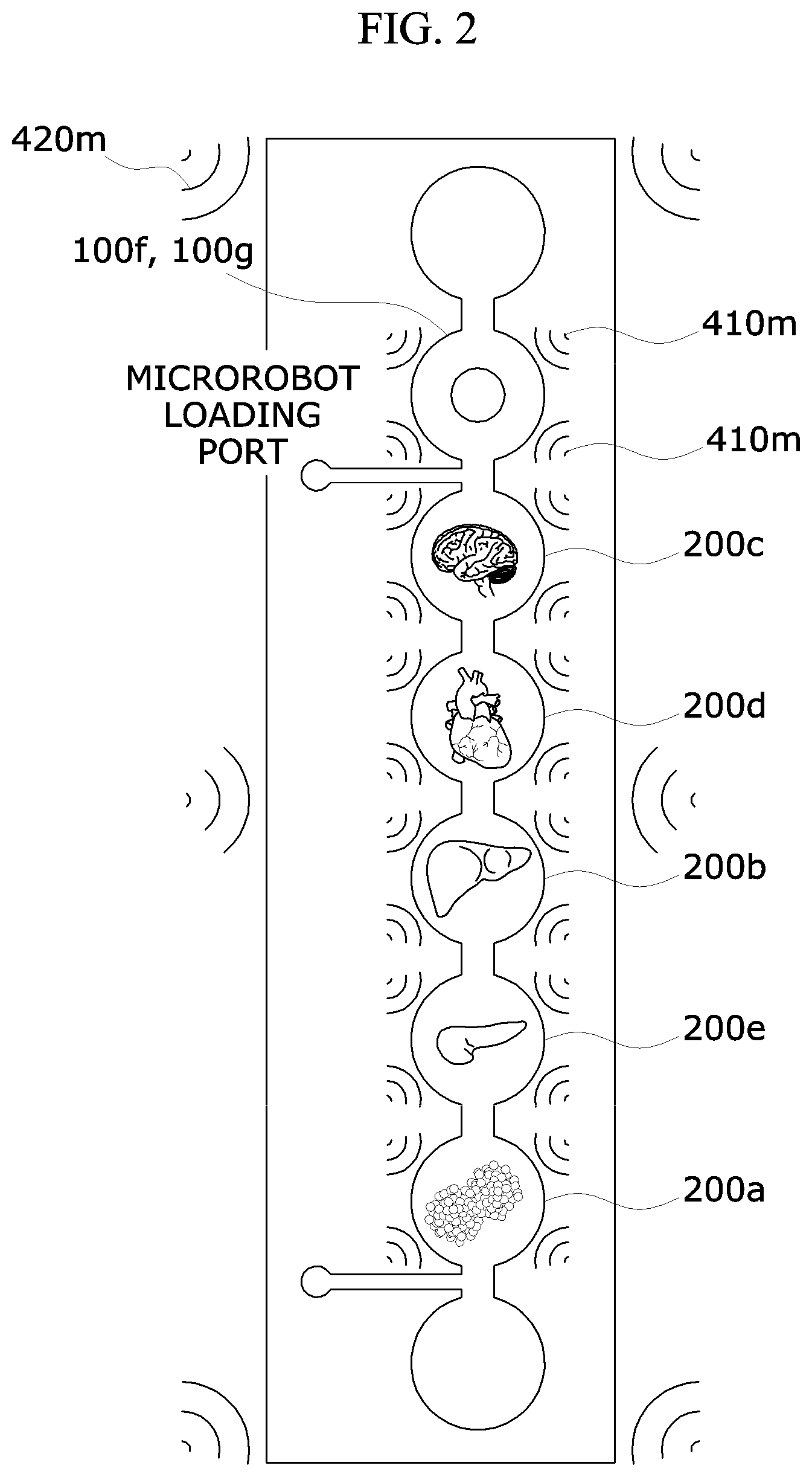 Patent US12325850 Figure 2 – Microrobot-based biomimetic system