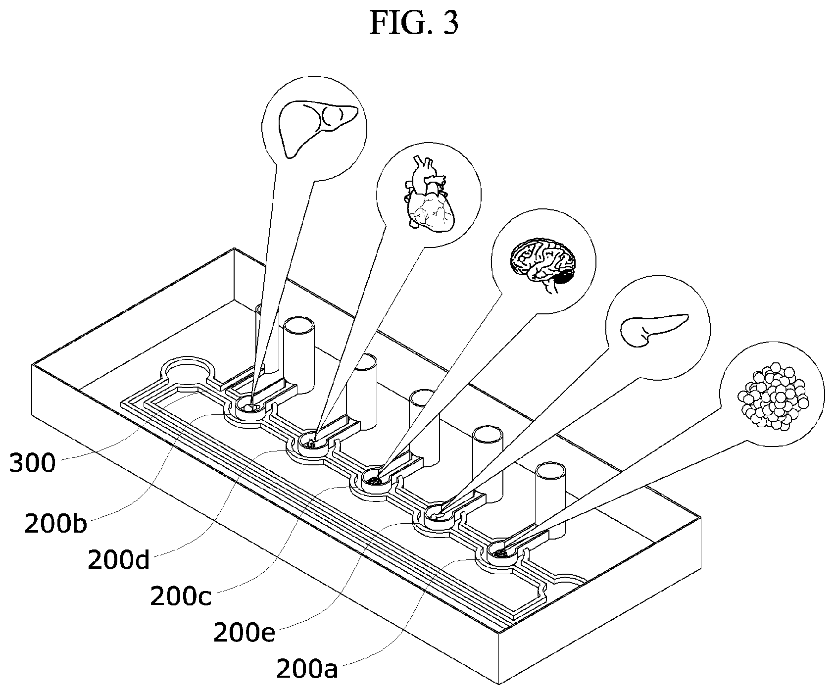 Patent US12325850 Figure 3 – Microrobot-based biomimetic system