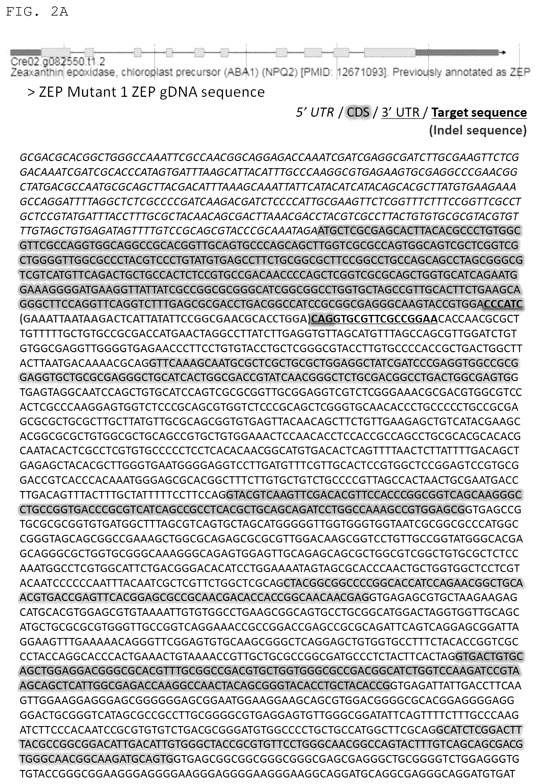 Patent US12325852 Figure 2 – Chlamydomonas mutant and use thereof