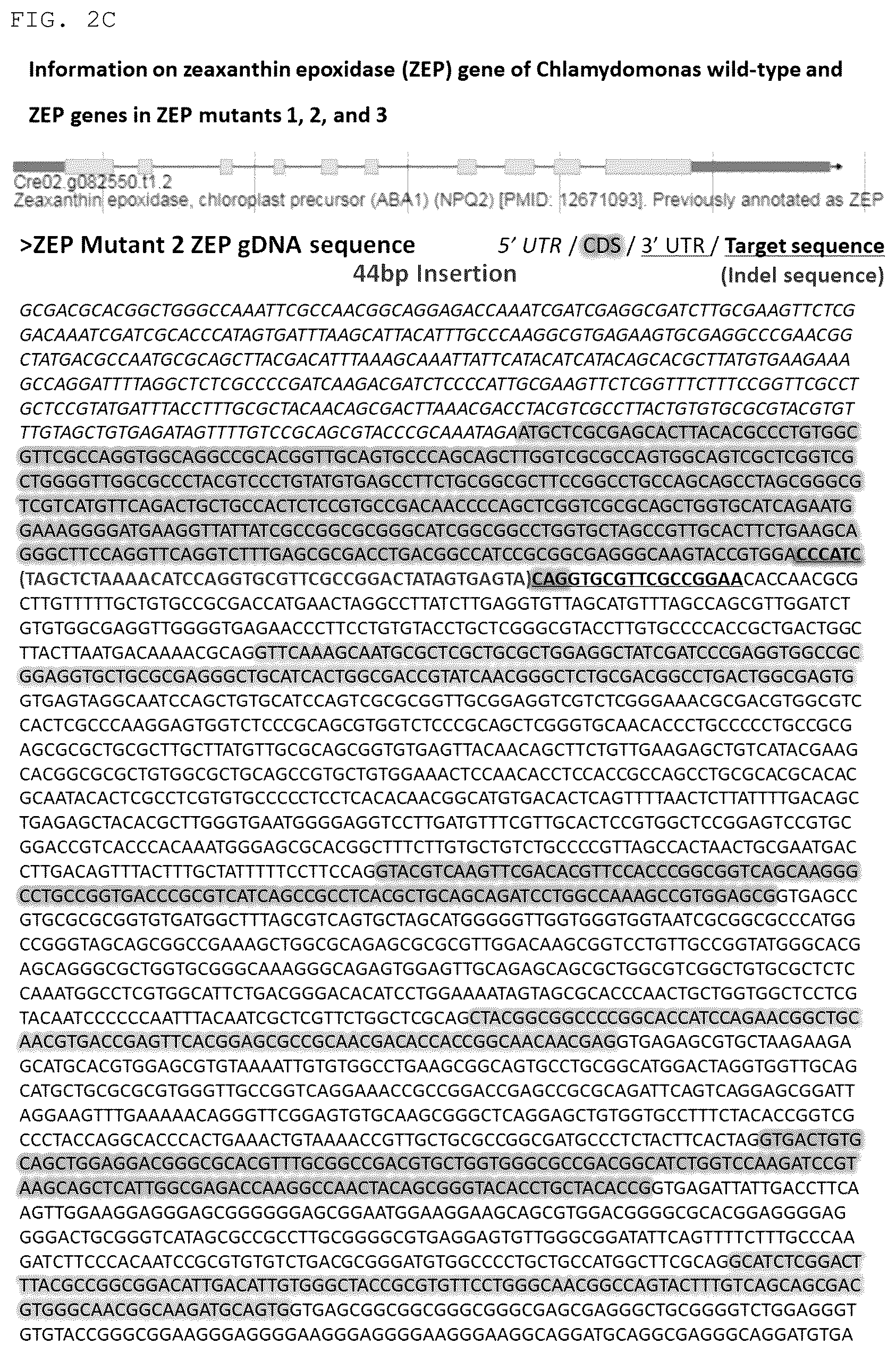 Patent US12325852 Figure 4 – Chlamydomonas mutant and use thereof