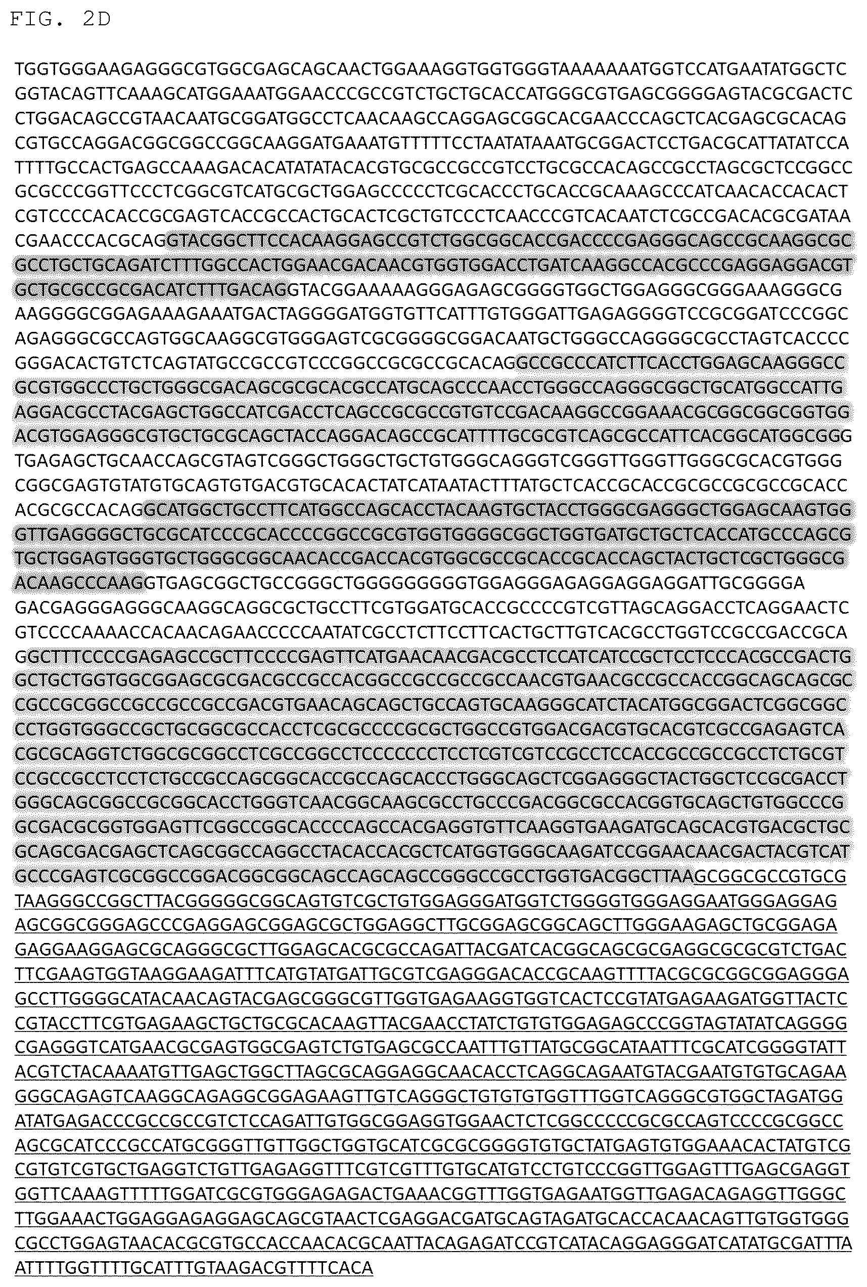 Patent US12325852 Figure 5 – Chlamydomonas mutant and use thereof
