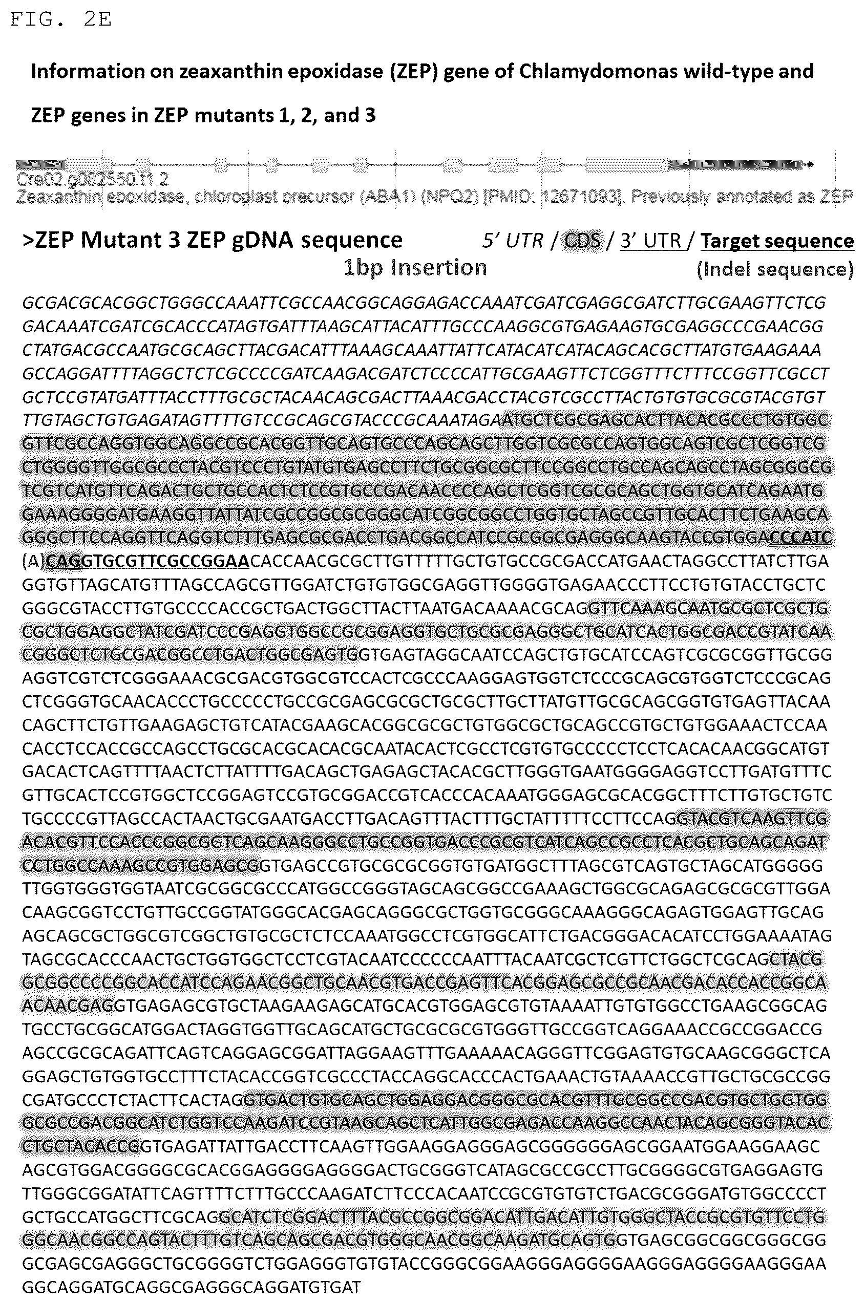 Patent US12325852 Figure 6 – Chlamydomonas mutant and use thereof