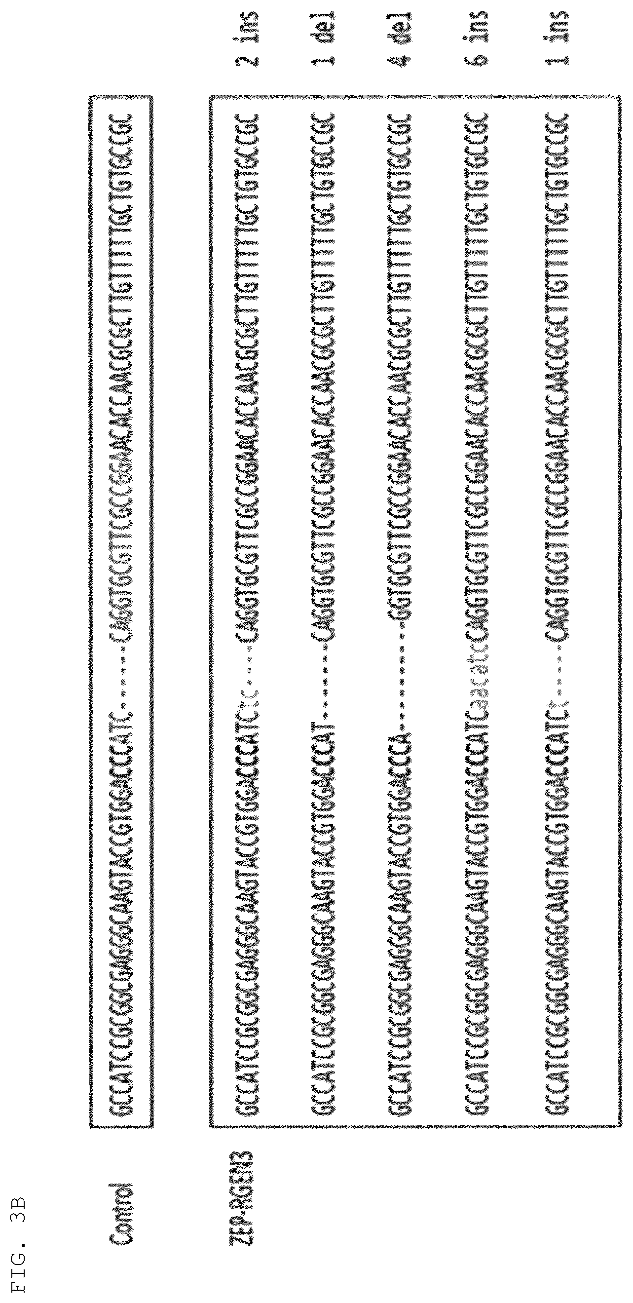 Patent US12325852 Figure 9 – Chlamydomonas mutant and use thereof
