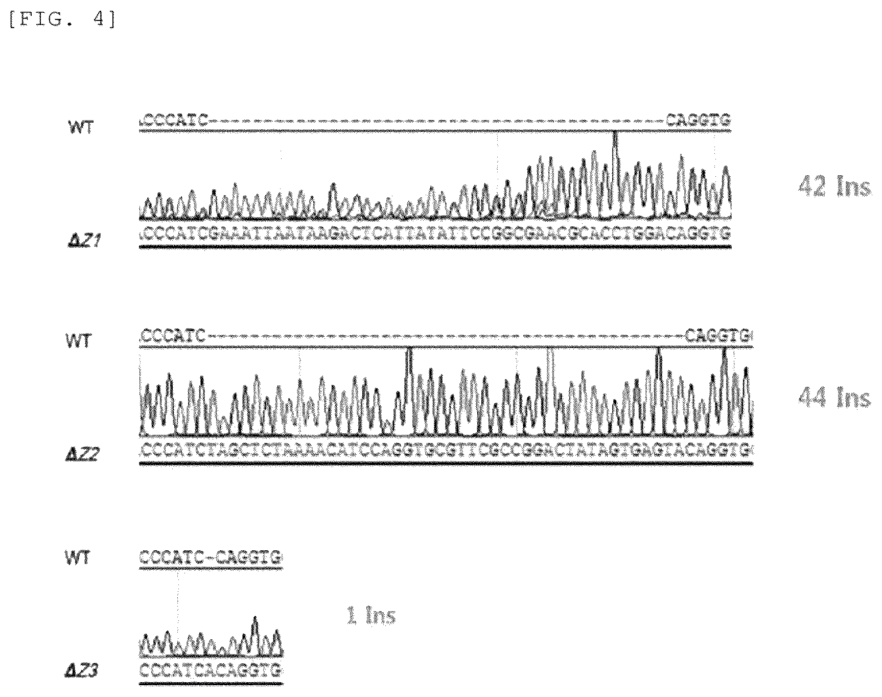 Patent US12325852 Figure 10 – Chlamydomonas mutant and use thereof