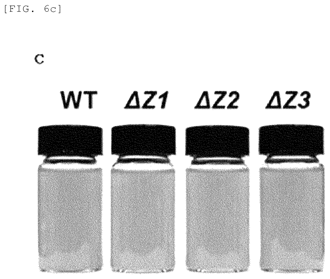 Patent US12325852 Figure 13 – Chlamydomonas mutant and use thereof