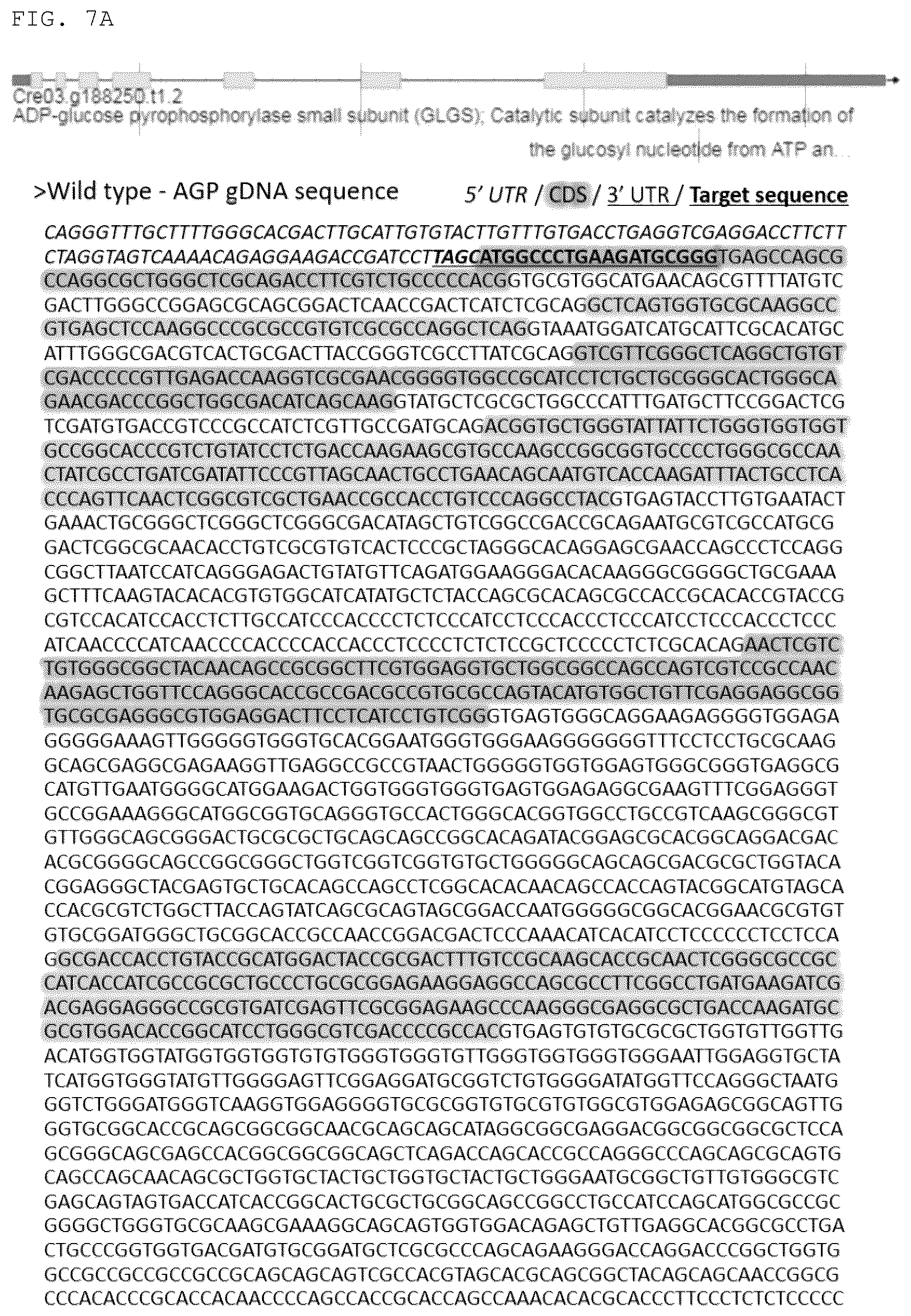 Patent US12325852 Figure 14 – Chlamydomonas mutant and use thereof