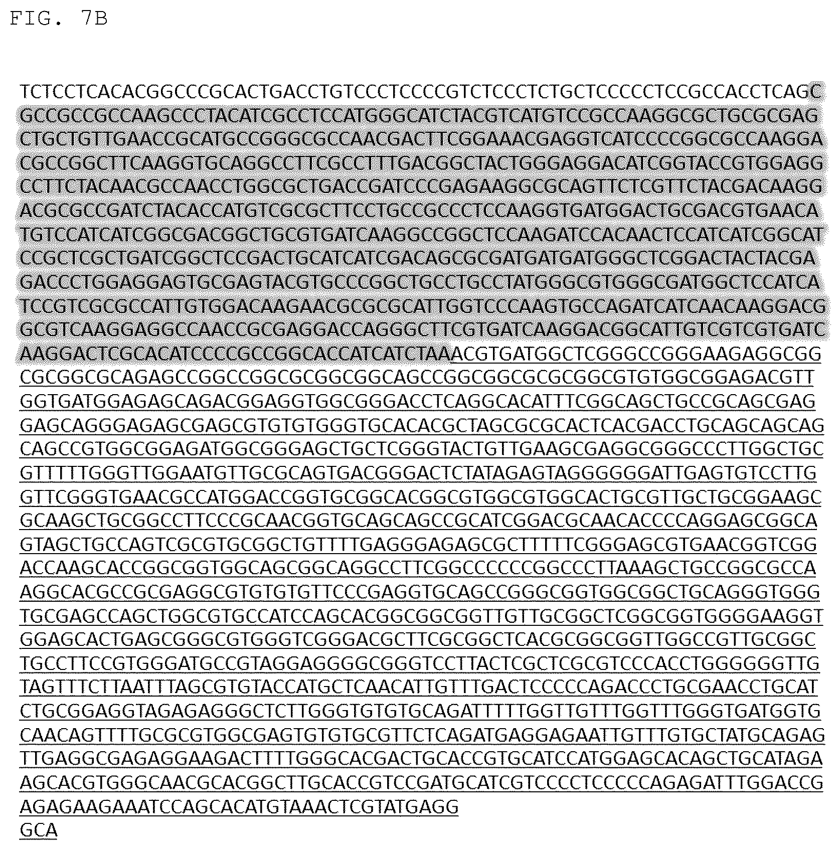 Patent US12325852 Figure 15 – Chlamydomonas mutant and use thereof
