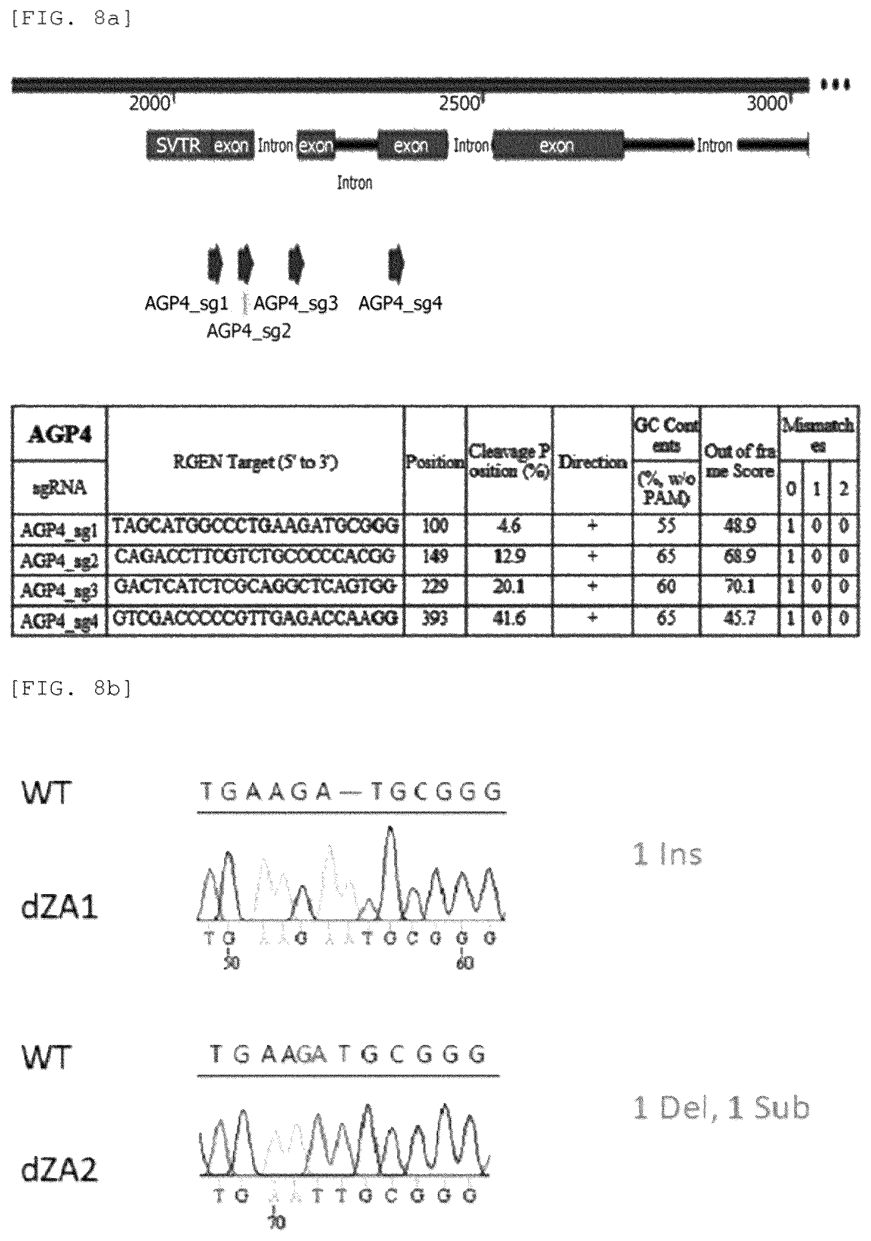 Patent US12325852 Figure 16 – Chlamydomonas mutant and use thereof