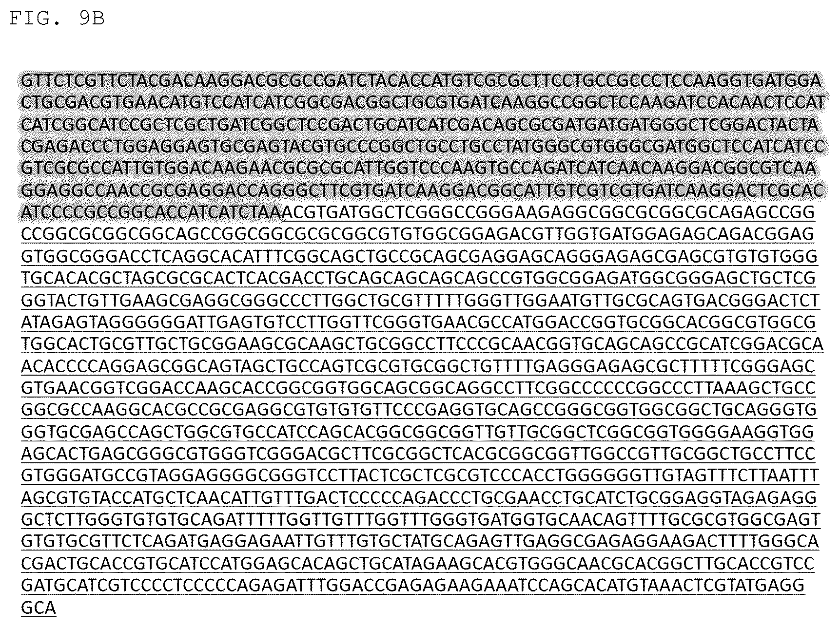 Patent US12325852 Figure 18 – Chlamydomonas mutant and use thereof