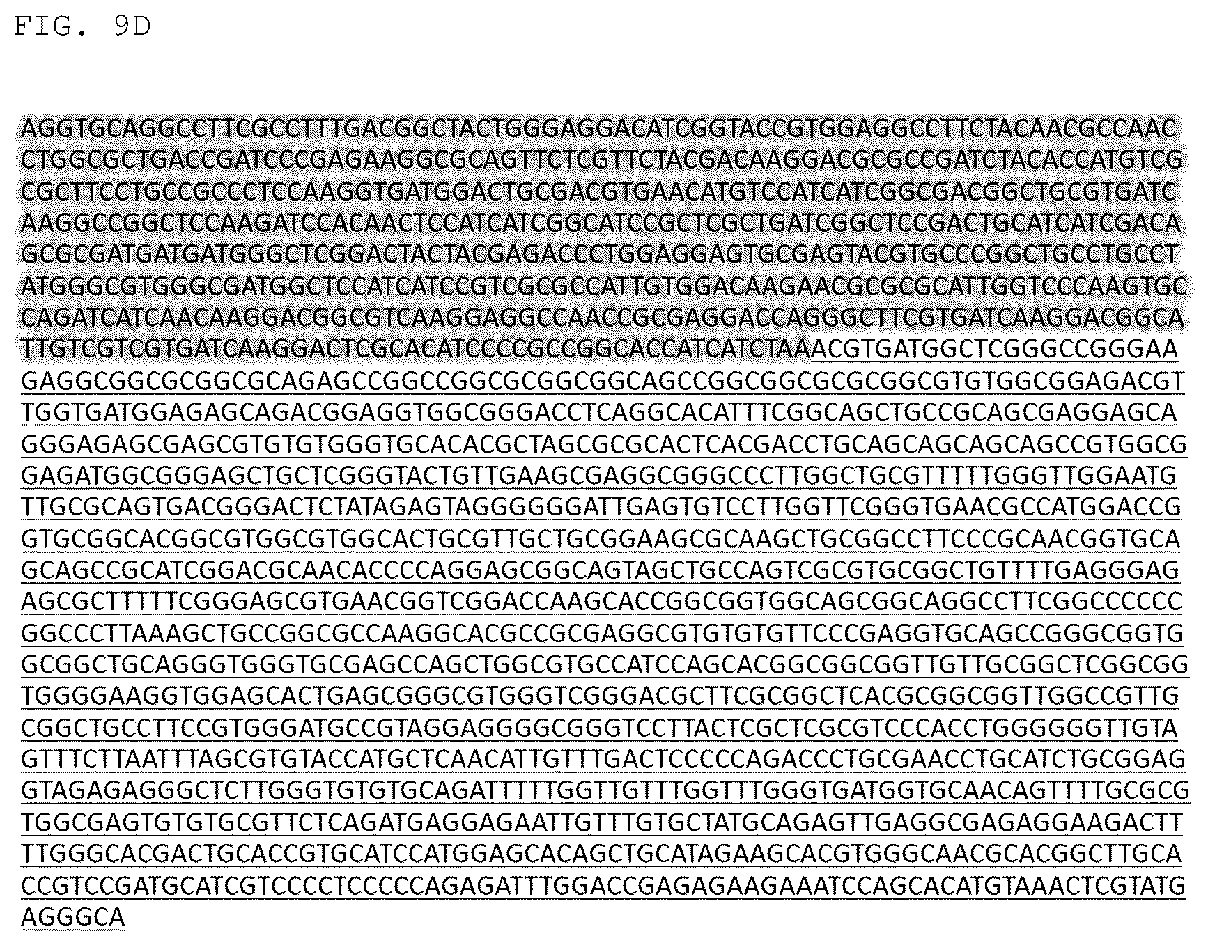 Patent US12325852 Figure 20 – Chlamydomonas mutant and use thereof