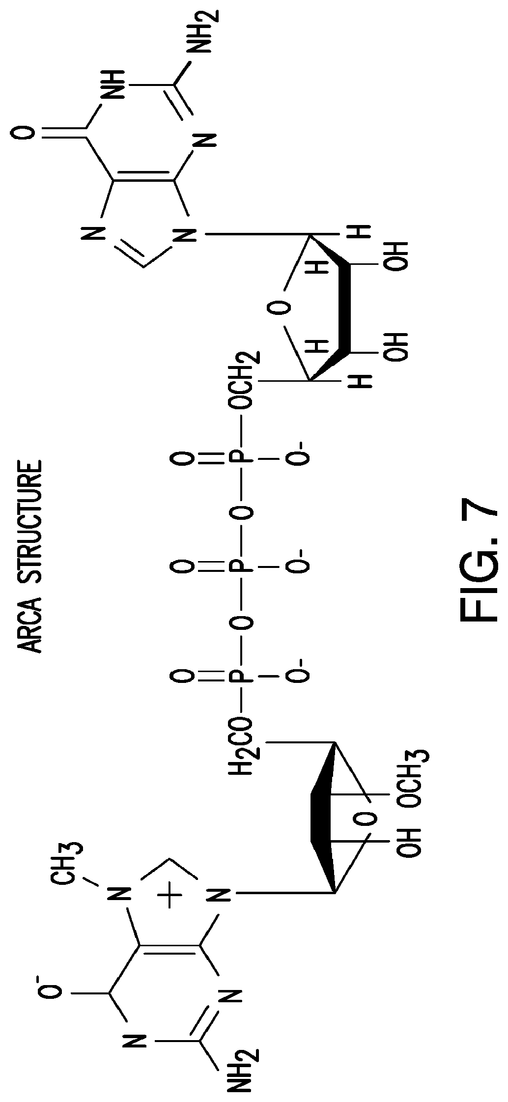 Patent US12325854 Figure 8 – Crispr-CPF1-related methods, compositions and components for cancer immunotherapy