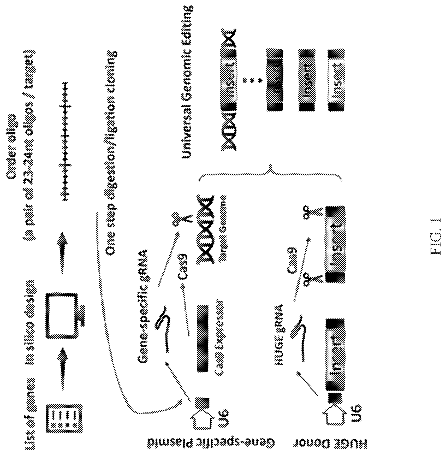 Patent US12325855 Figure 1 – Gene editing using homology-independent universal genome engineering technology