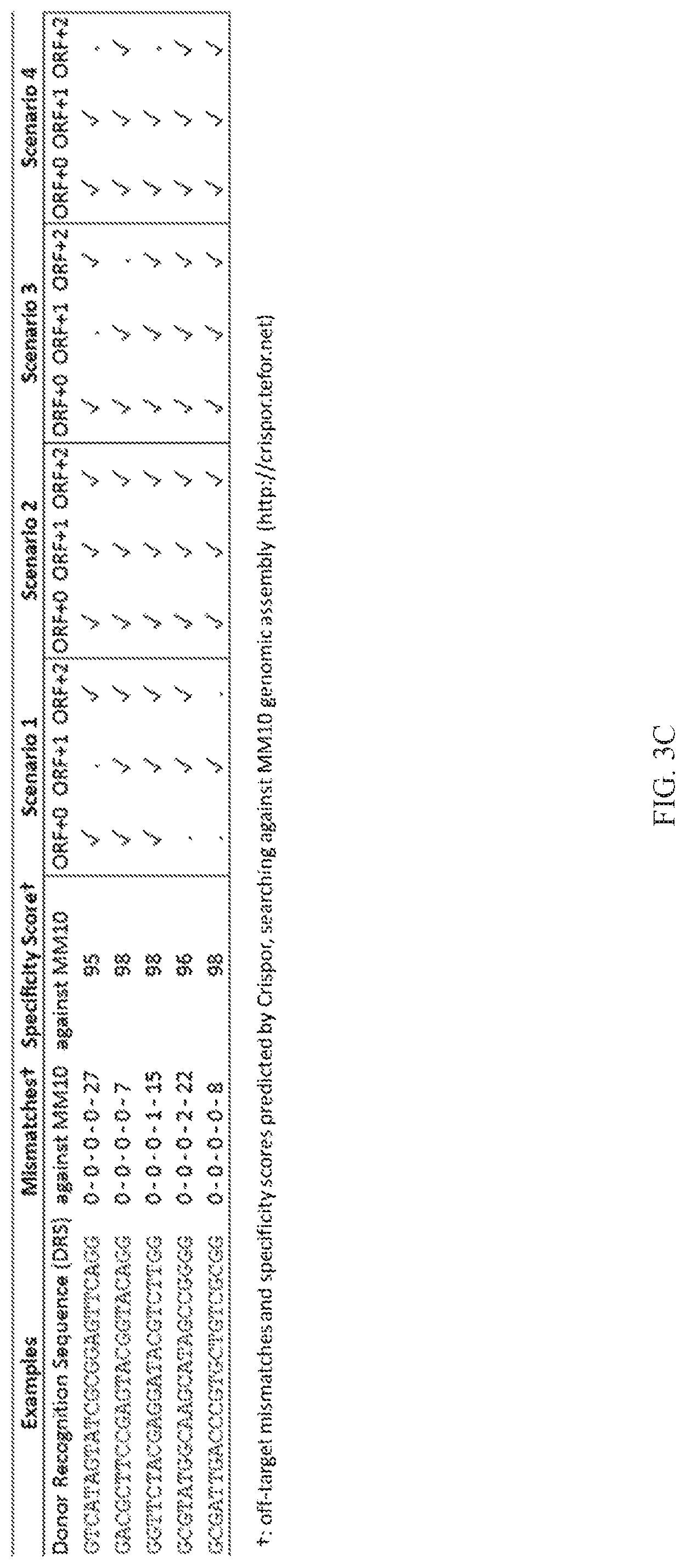 Patent US12325855 Figure 8 – Gene editing using homology-independent universal genome engineering technology