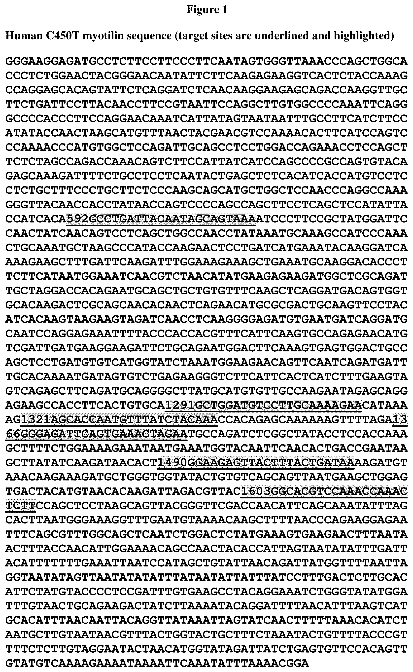 Patent US12325856 Figure 1 – Recombinant virus products and methods for inhibition of expression of myotilin