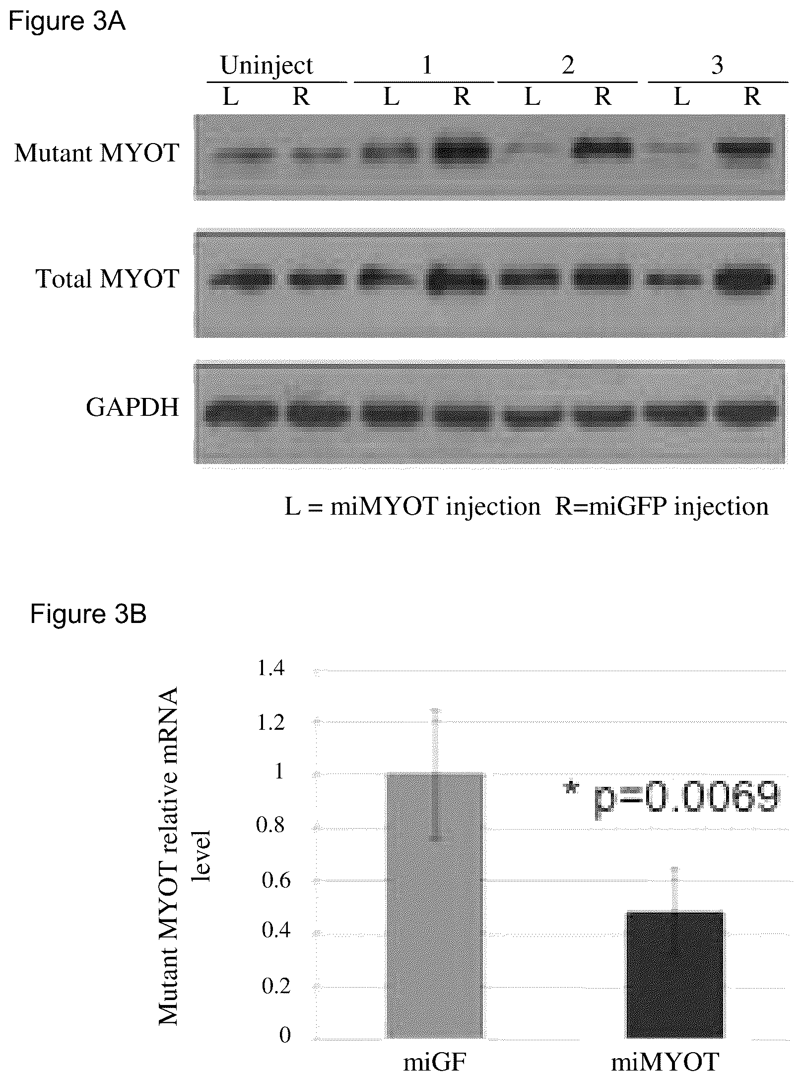 Patent US12325856 Figure 3 – Recombinant virus products and methods for inhibition of expression of myotilin
