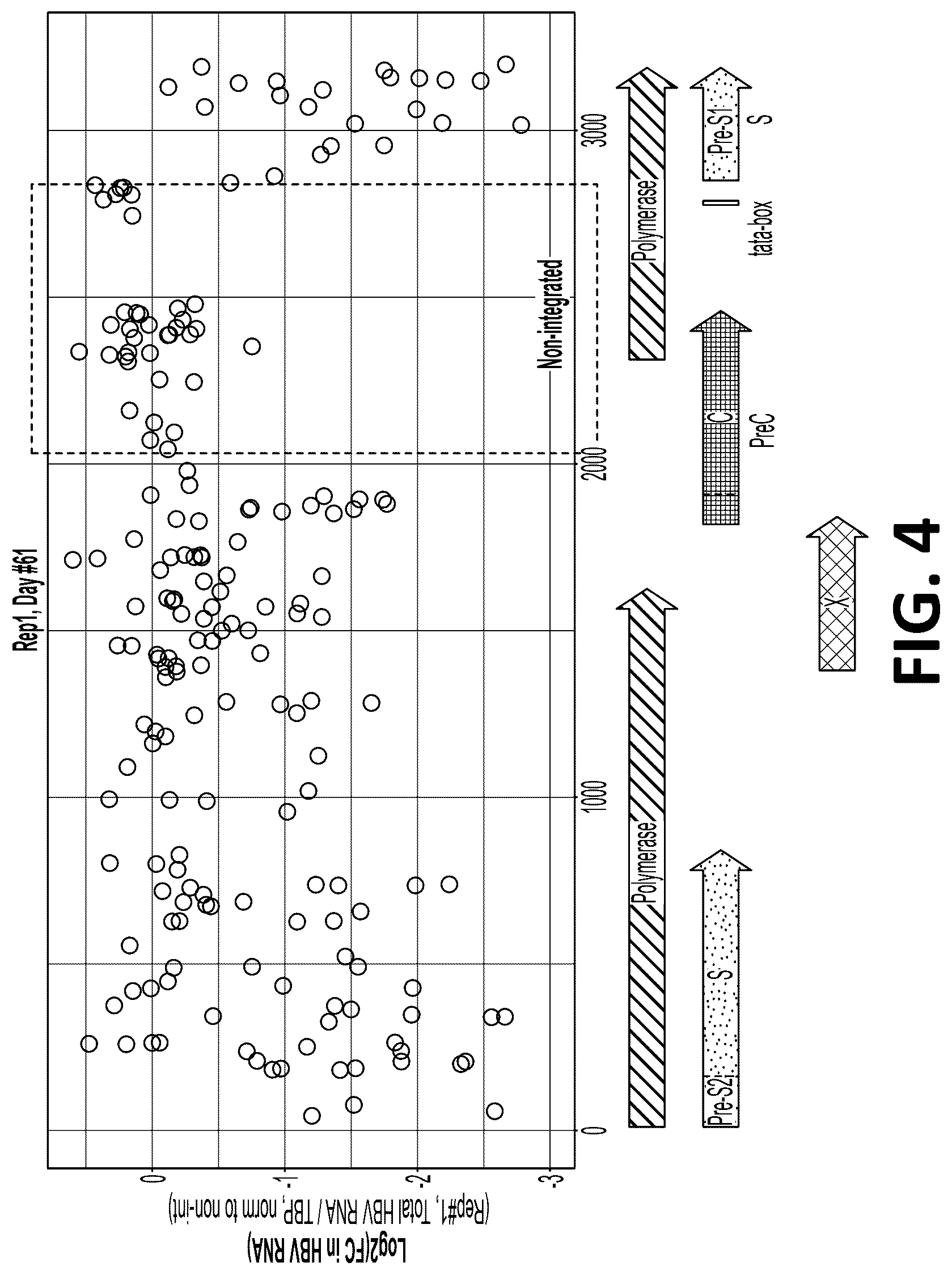 Patent US12325857 Figure 4 – Compositions, systems, and methods for regulation of Hepatitis b virus through targeted gene repression