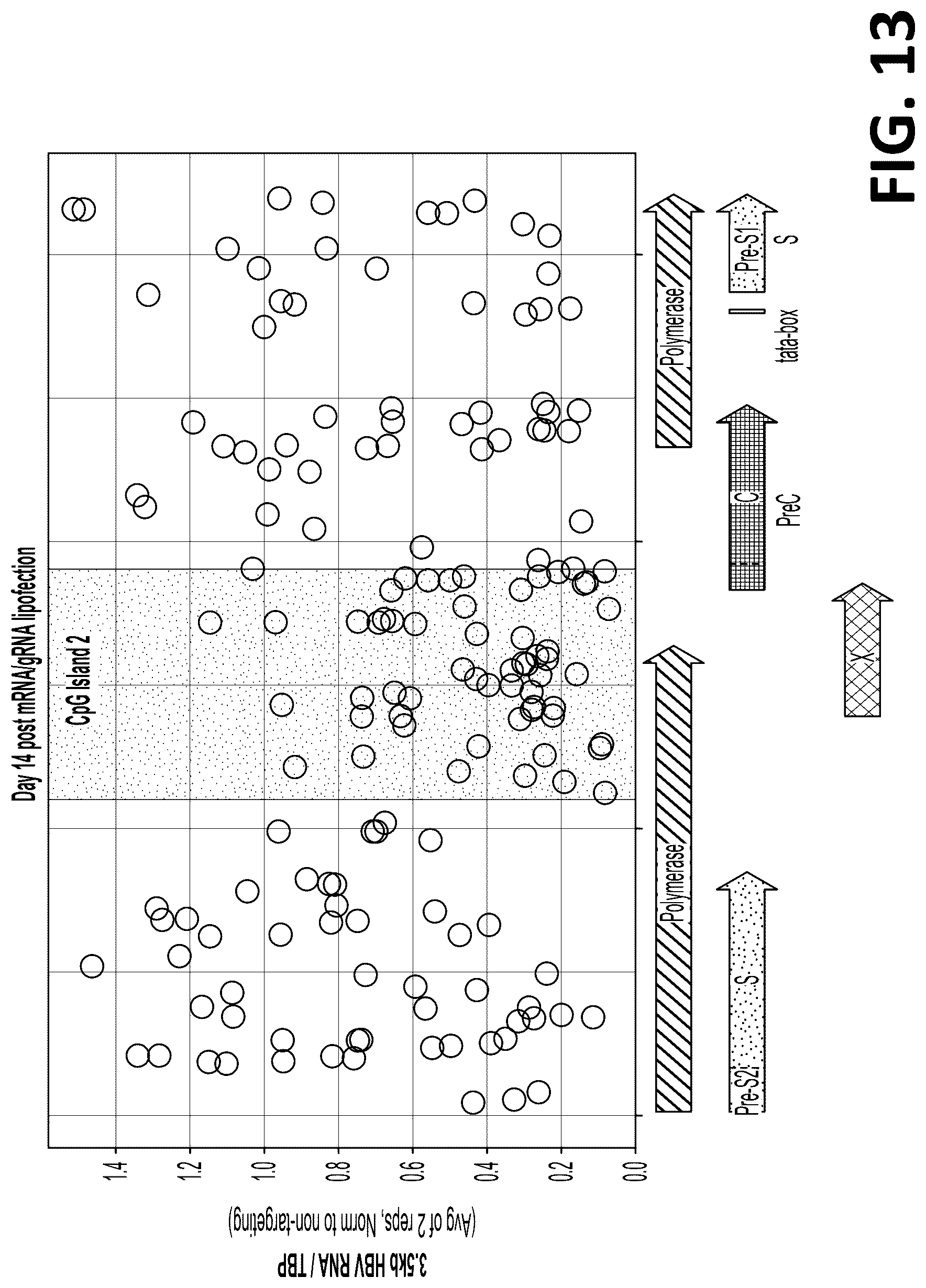 Patent US12325857 Figure 14 – Compositions, systems, and methods for regulation of Hepatitis b virus through targeted gene repression