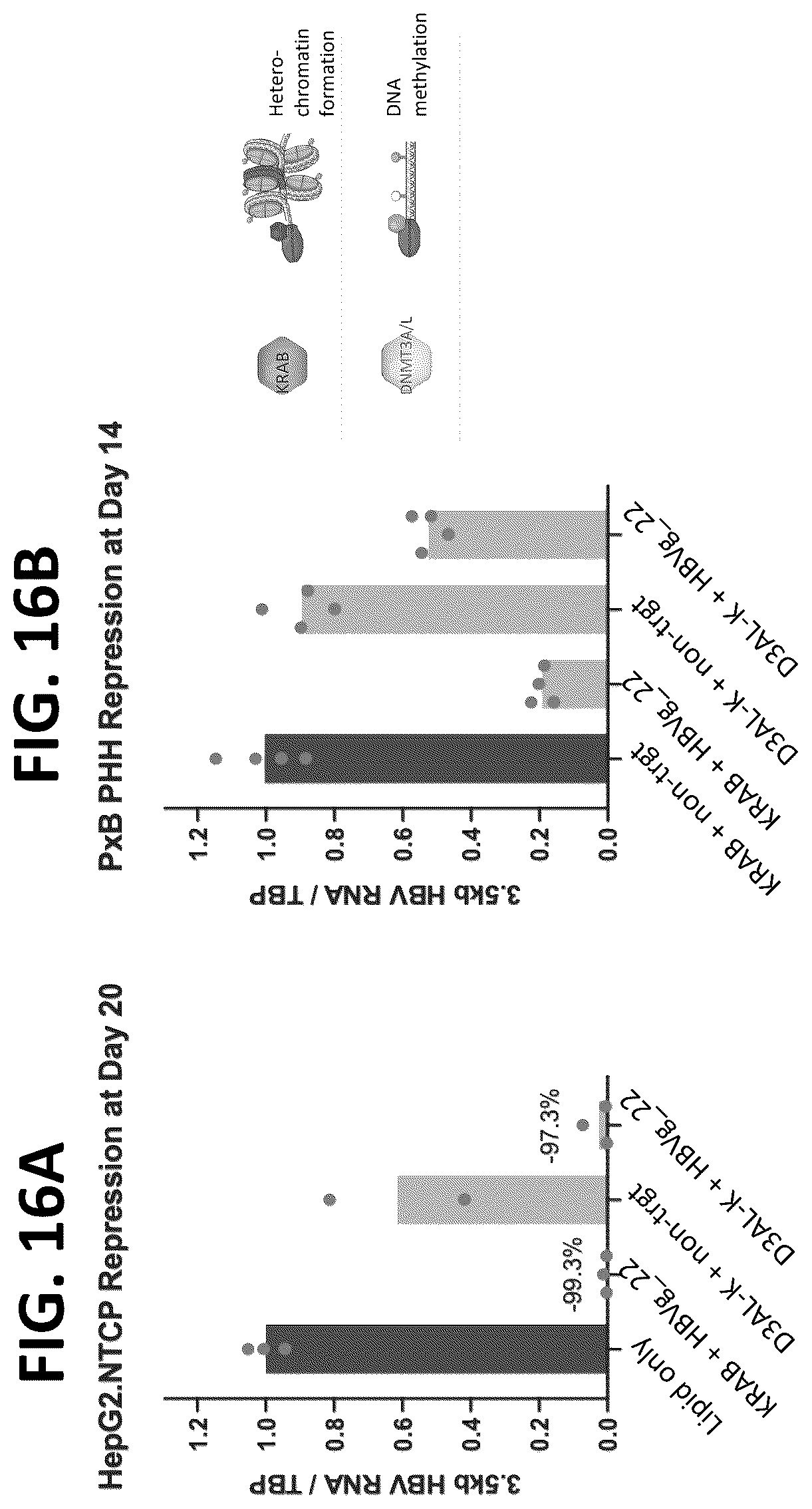 Patent US12325857 Figure 18 – Compositions, systems, and methods for regulation of Hepatitis b virus through targeted gene repression