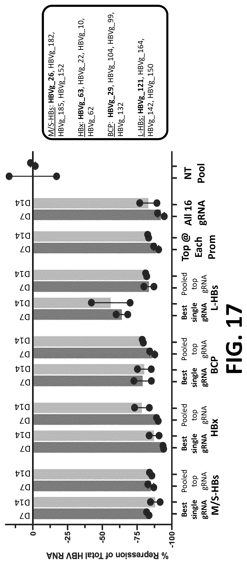 Patent US12325857 Figure 19 – Compositions, systems, and methods for regulation of Hepatitis b virus through targeted gene repression