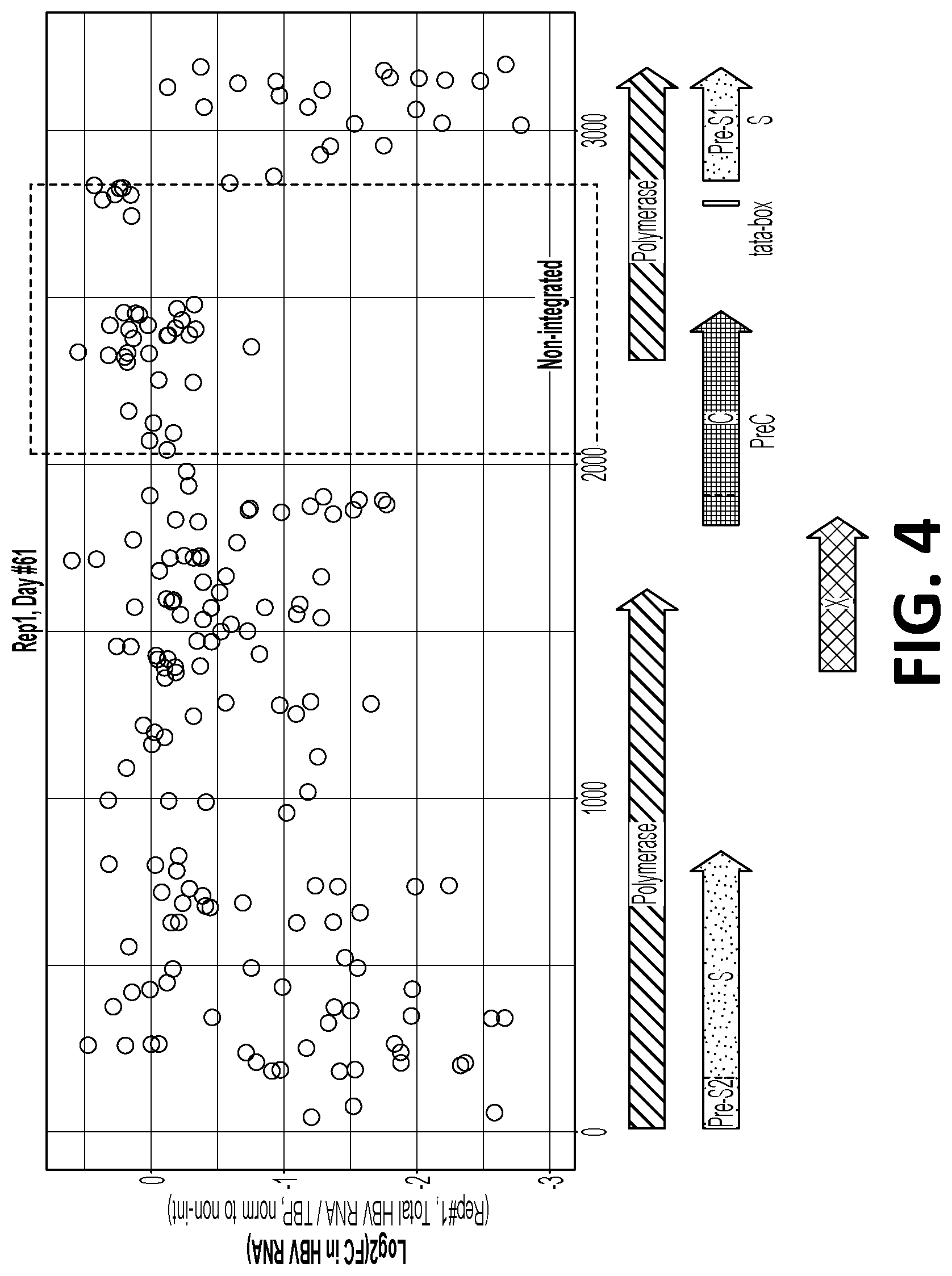 Patent US12325858 Figure 4 – Compositions, systems, and methods for regulation of Hepatitis B virus through targeted gene repression