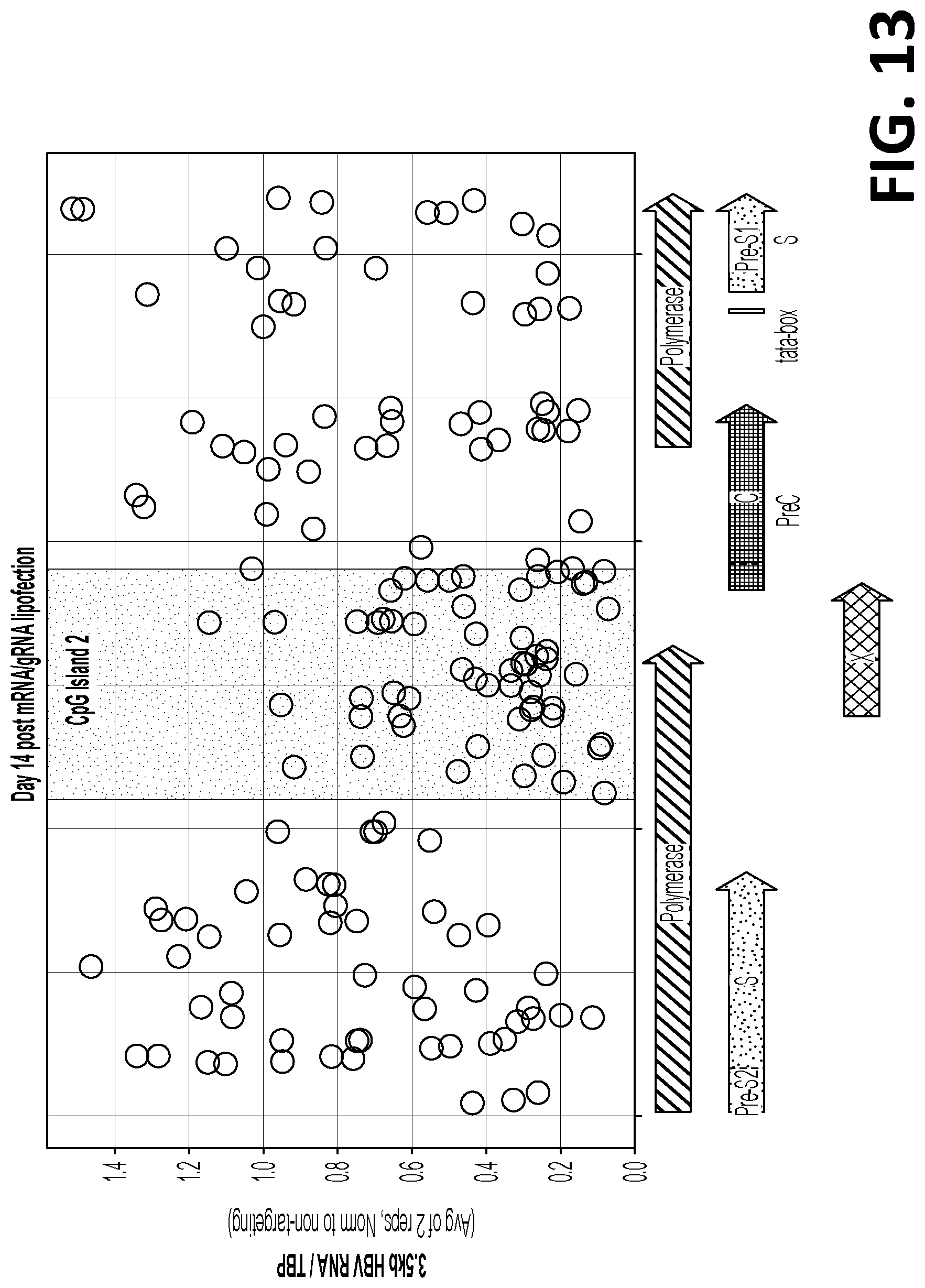 Patent US12325858 Figure 14 – Compositions, systems, and methods for regulation of Hepatitis B virus through targeted gene repression
