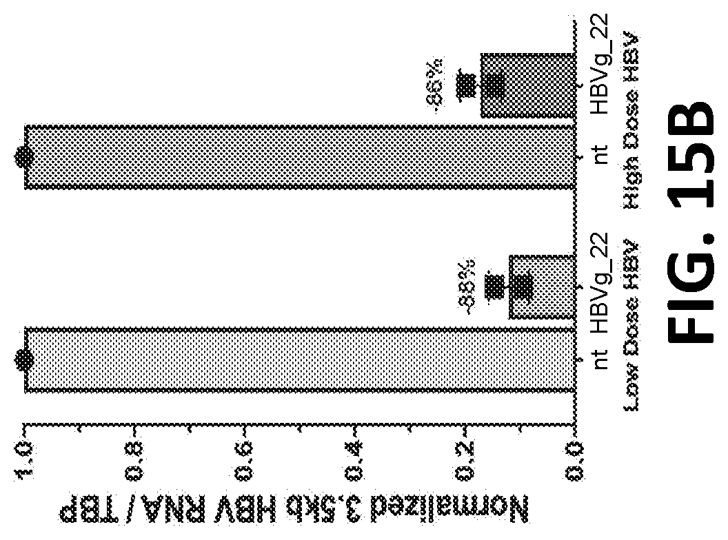 Patent US12325858 Figure 17 – Compositions, systems, and methods for regulation of Hepatitis B virus through targeted gene repression