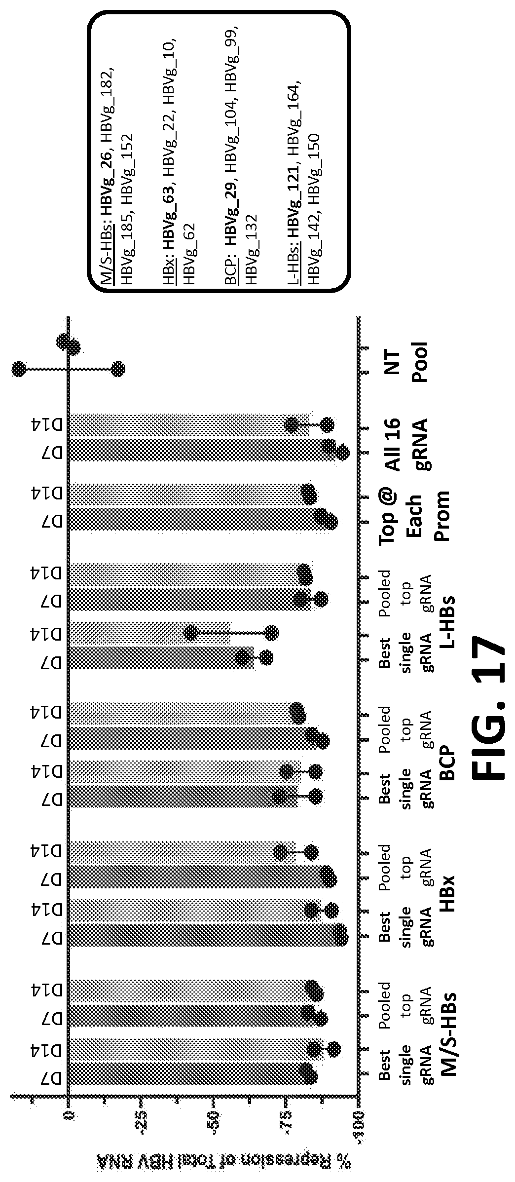 Patent US12325858 Figure 19 – Compositions, systems, and methods for regulation of Hepatitis B virus through targeted gene repression