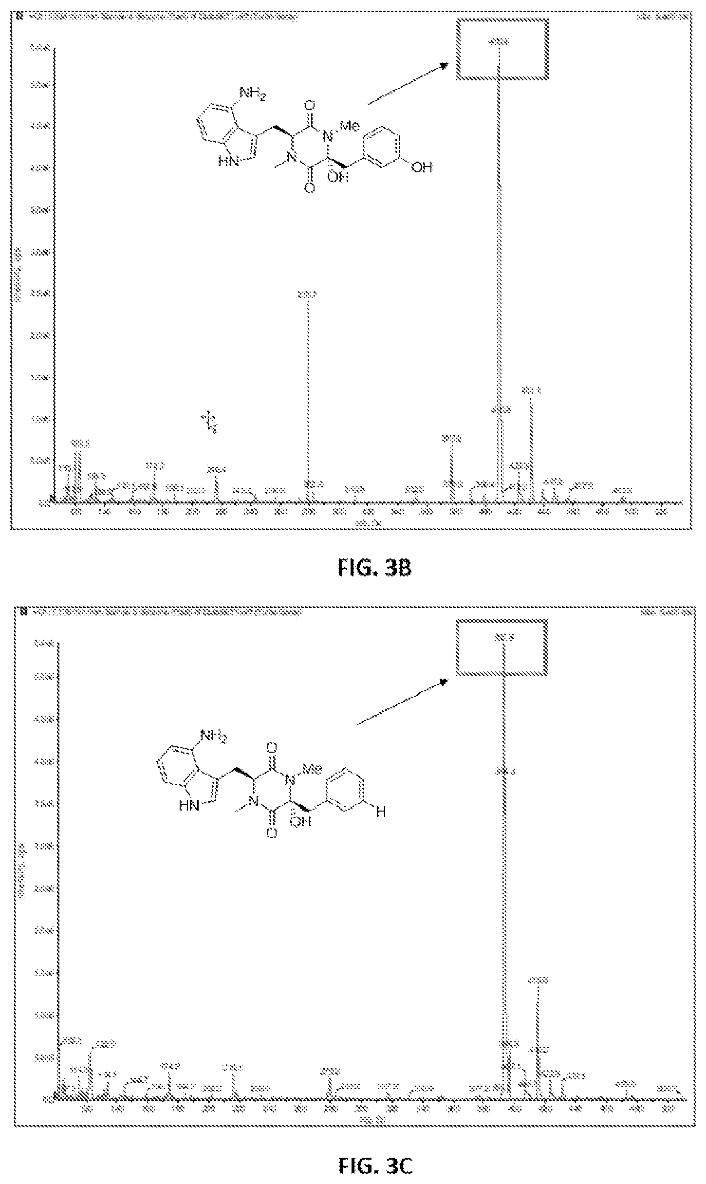 Patent US12325862 Figure 3 – Compositions and methods for transgenic crops resistant to thaxtomins