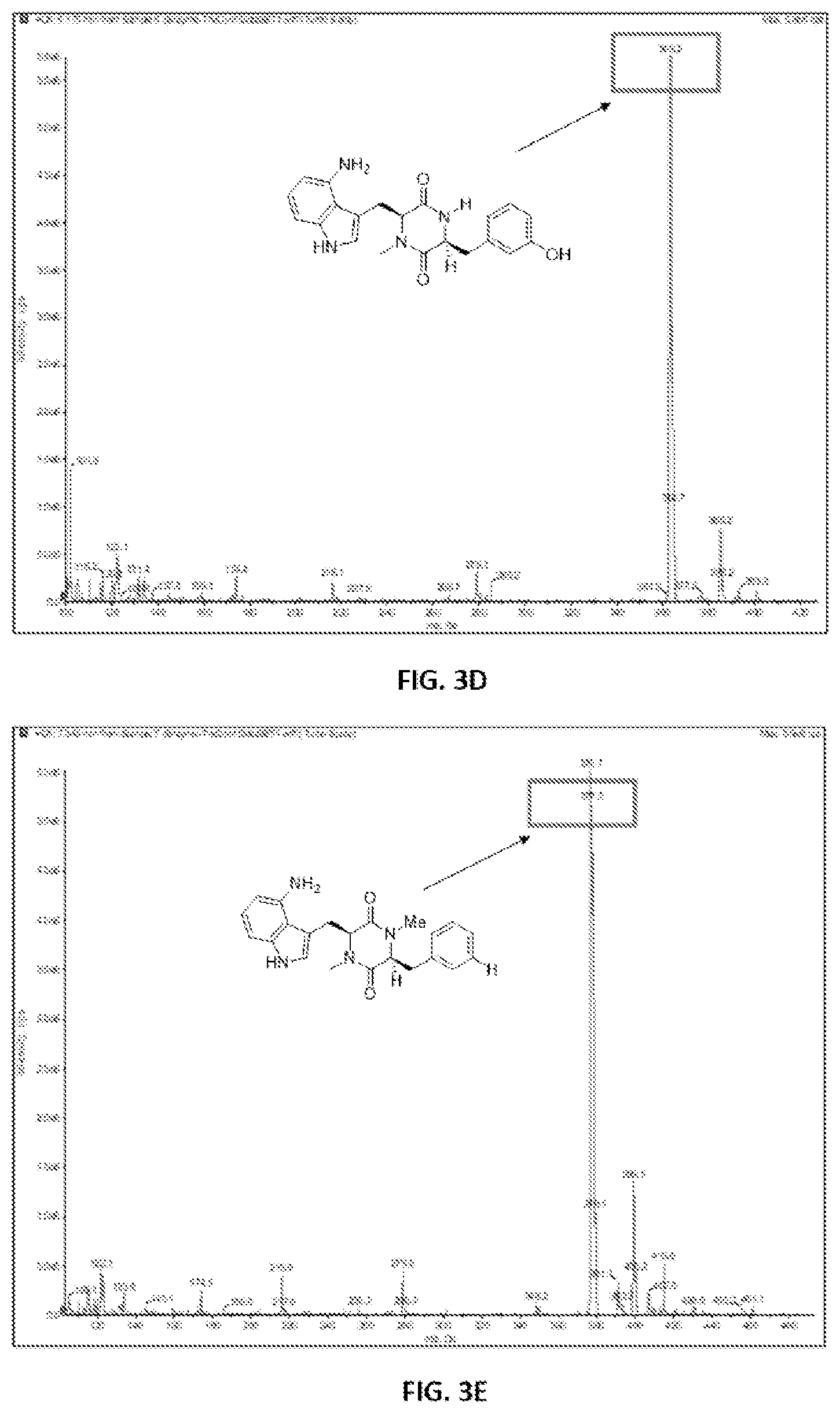 Patent US12325862 Figure 4 – Compositions and methods for transgenic crops resistant to thaxtomins