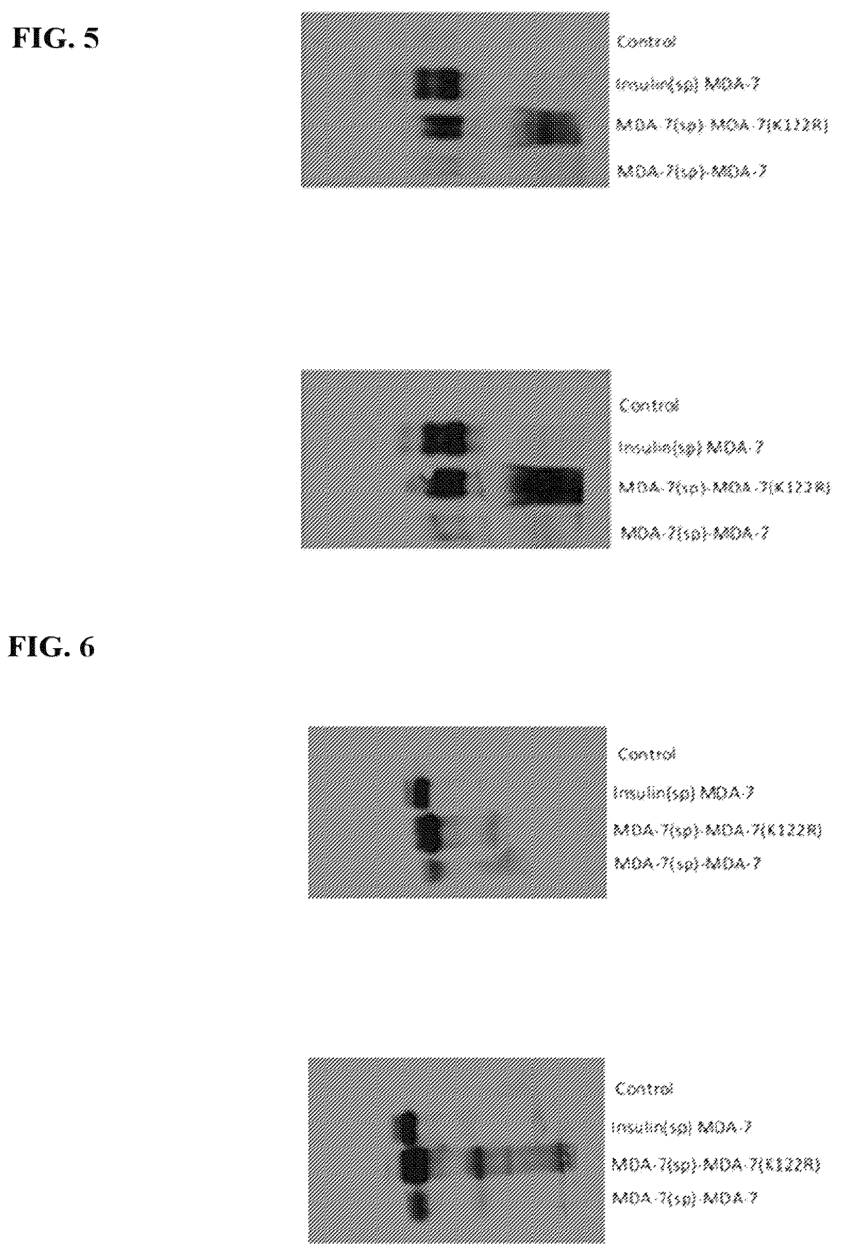Patent US12325863 Figure 3 – MDA-7/IL-24 secretory variants and methods of use