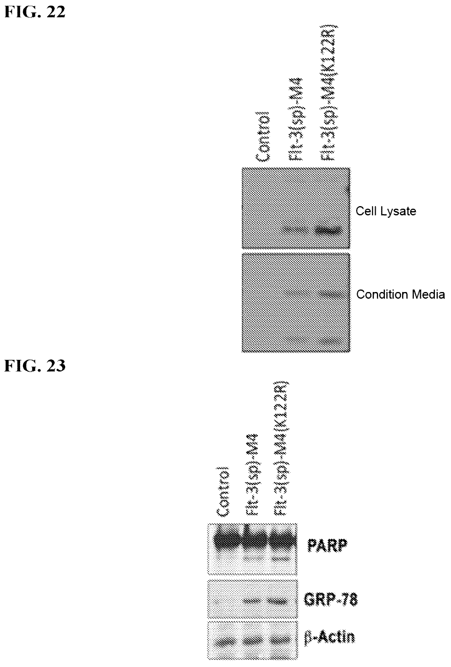 Patent US12325863 Figure 11 – MDA-7/IL-24 secretory variants and methods of use