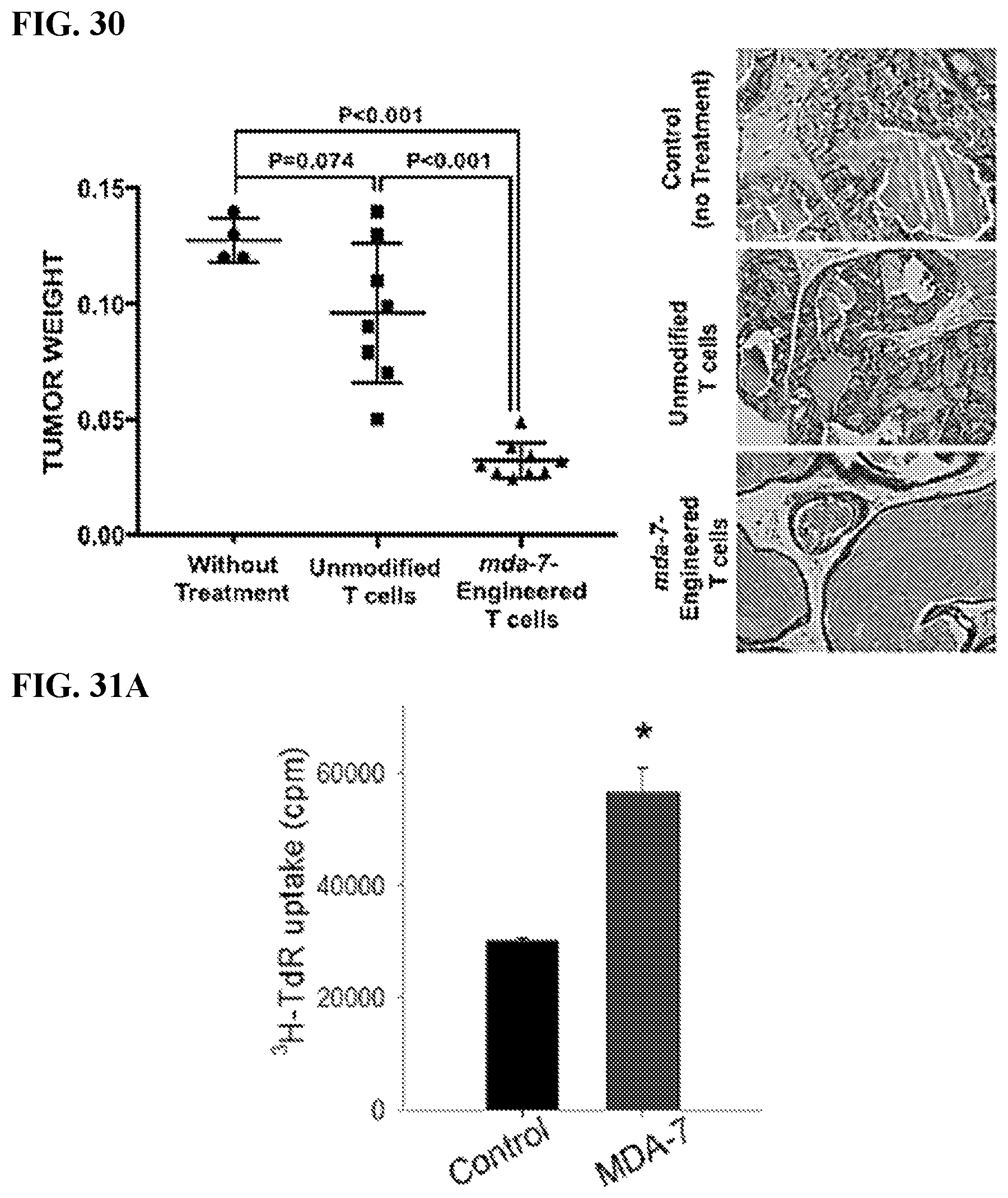 Patent US12325863 Figure 18 – MDA-7/IL-24 secretory variants and methods of use