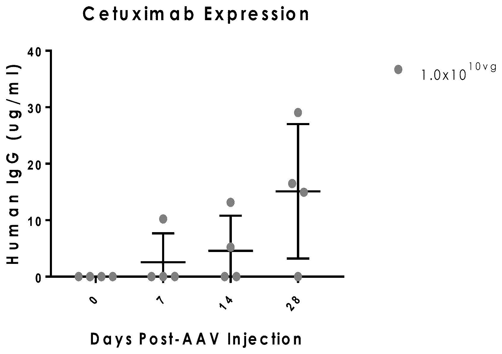 Patent US12325864 Figure 1 – Recombinant virus vector (RVV) for inhibiting epidermal growth factor receptor (EGFR) activity and method of making an agent/target cell complex to increase cetuximab-like protein (CLP) production