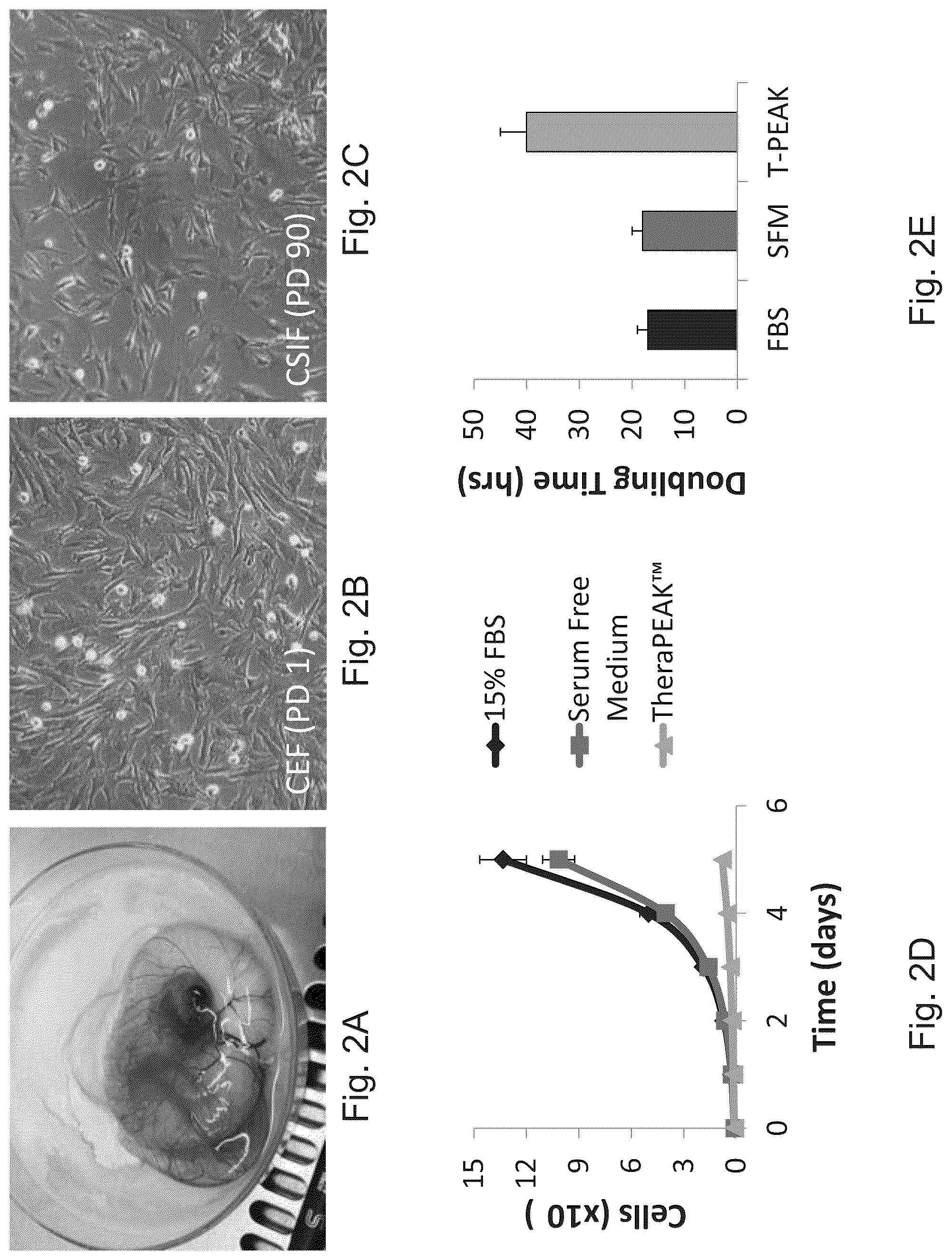 Patent US12325866 Figure 3 – Systems and methods for growing cells in vitro