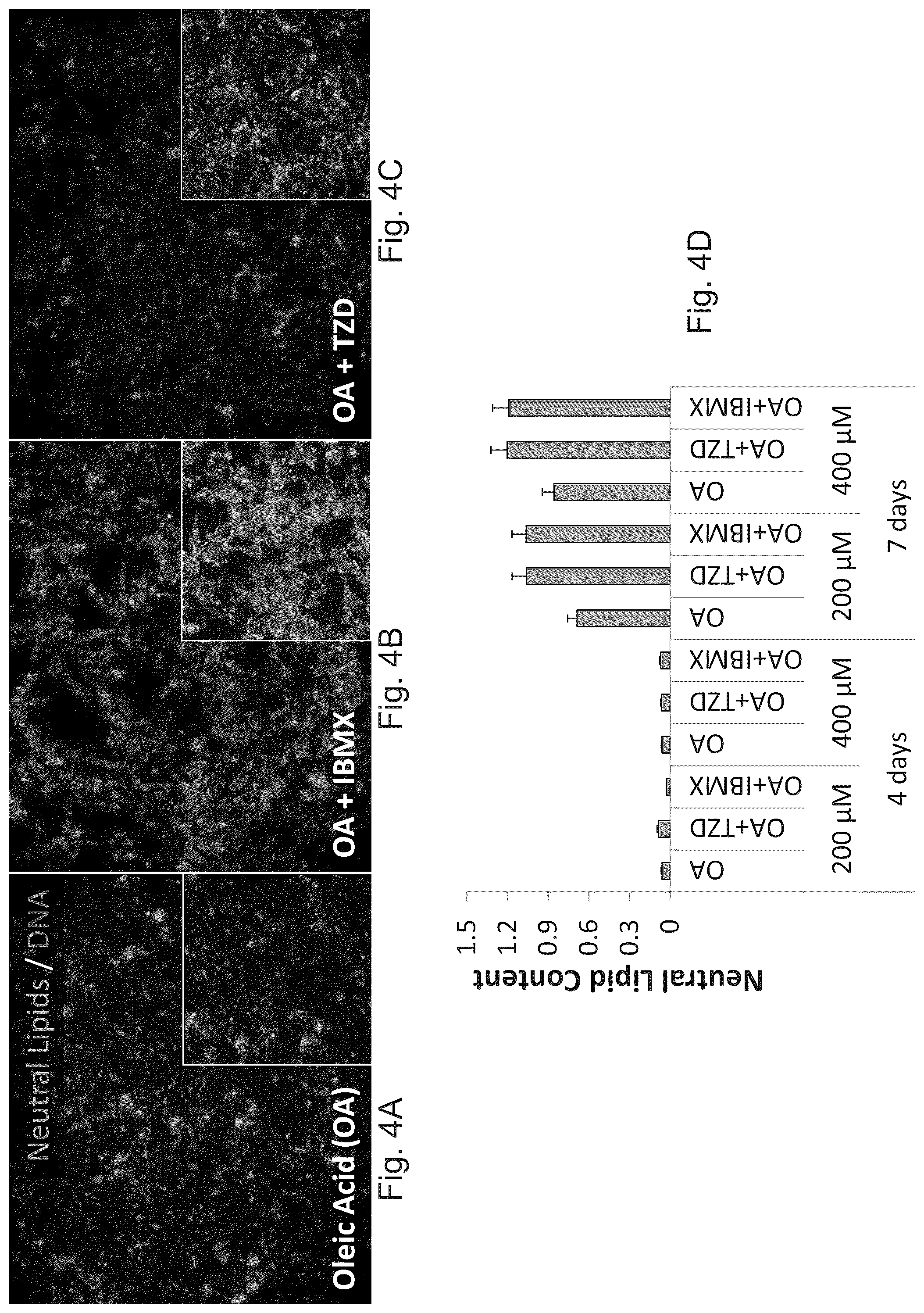 Patent US12325866 Figure 5 – Systems and methods for growing cells in vitro