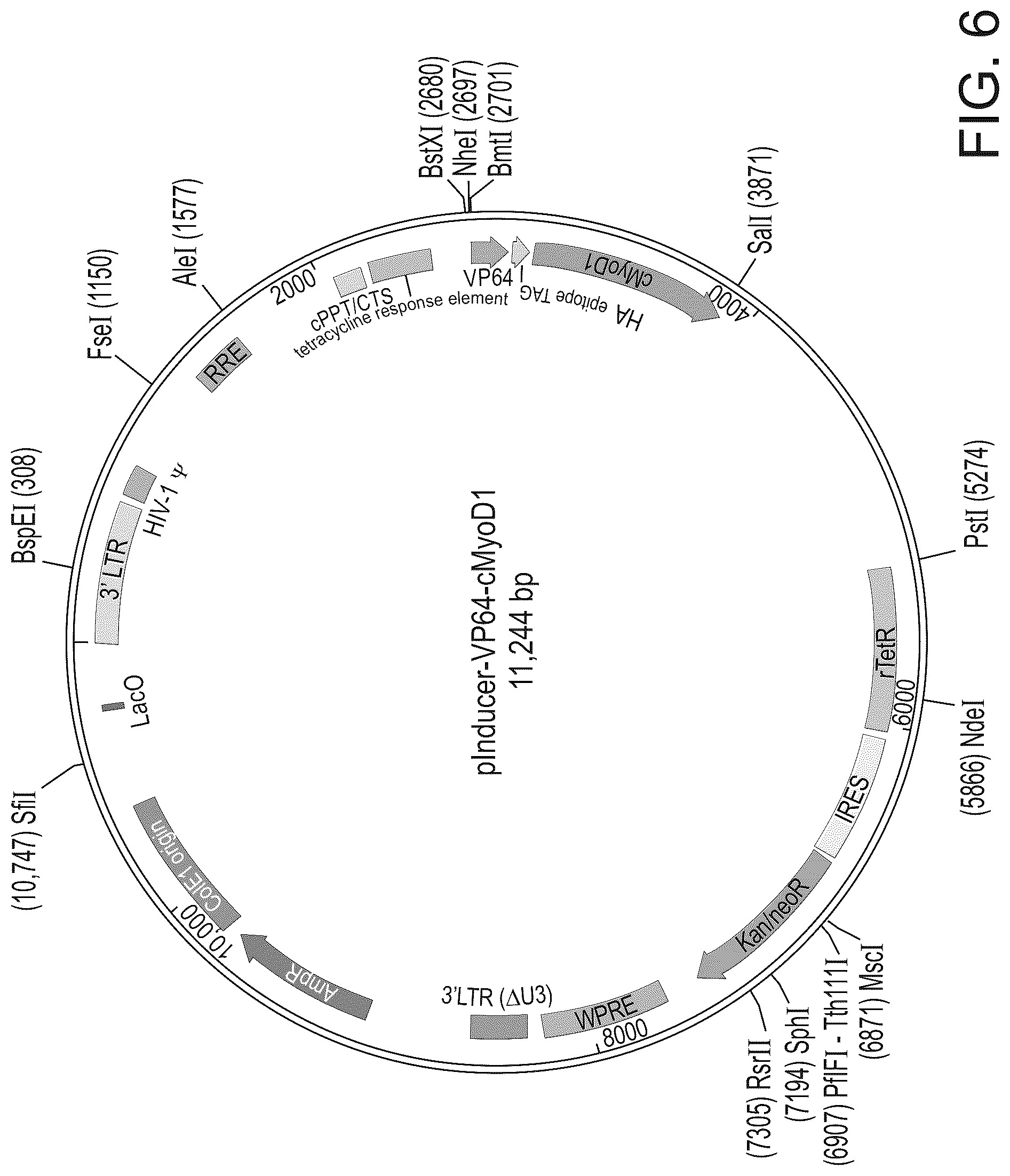 Patent US12325866 Figure 7 – Systems and methods for growing cells in vitro