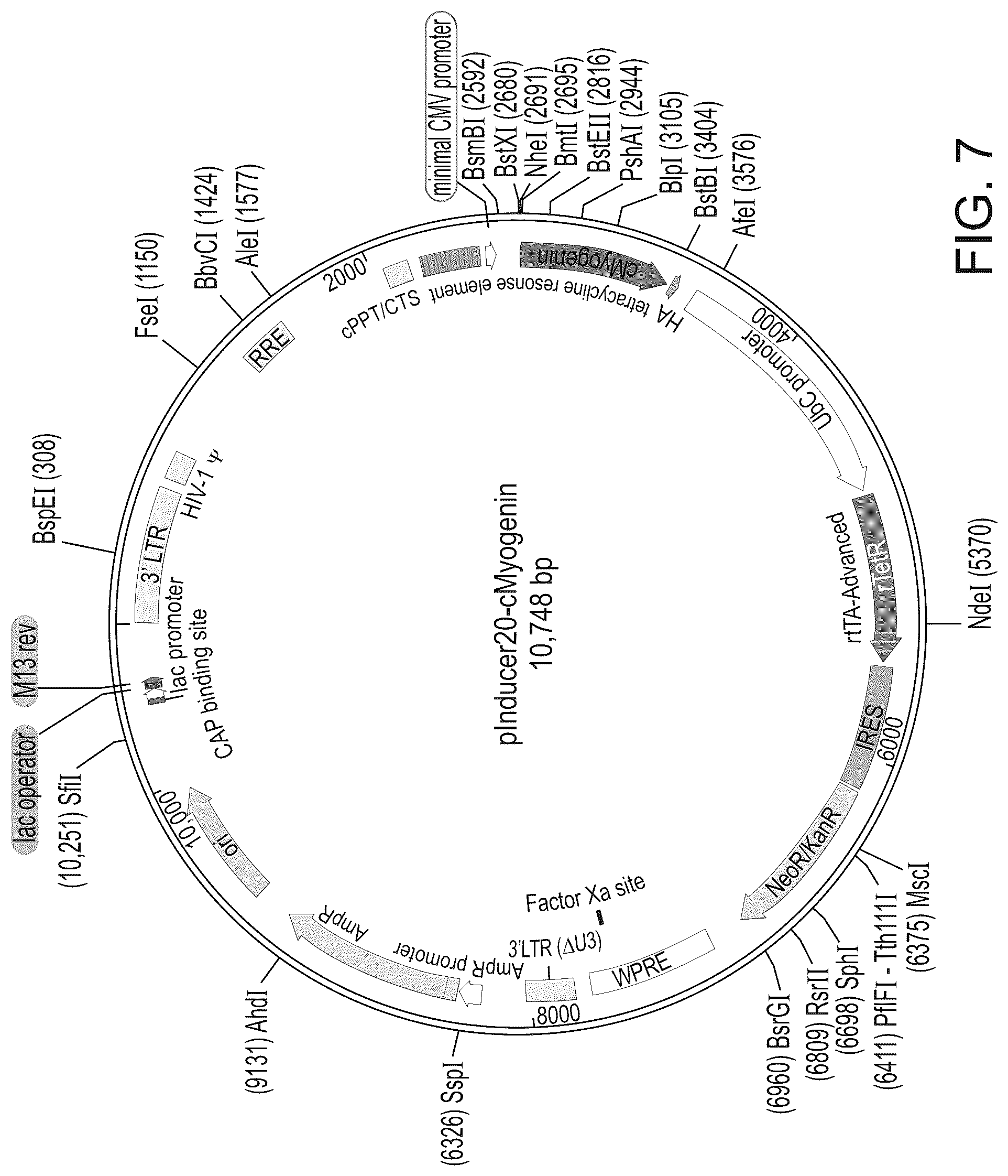 Patent US12325866 Figure 8 – Systems and methods for growing cells in vitro