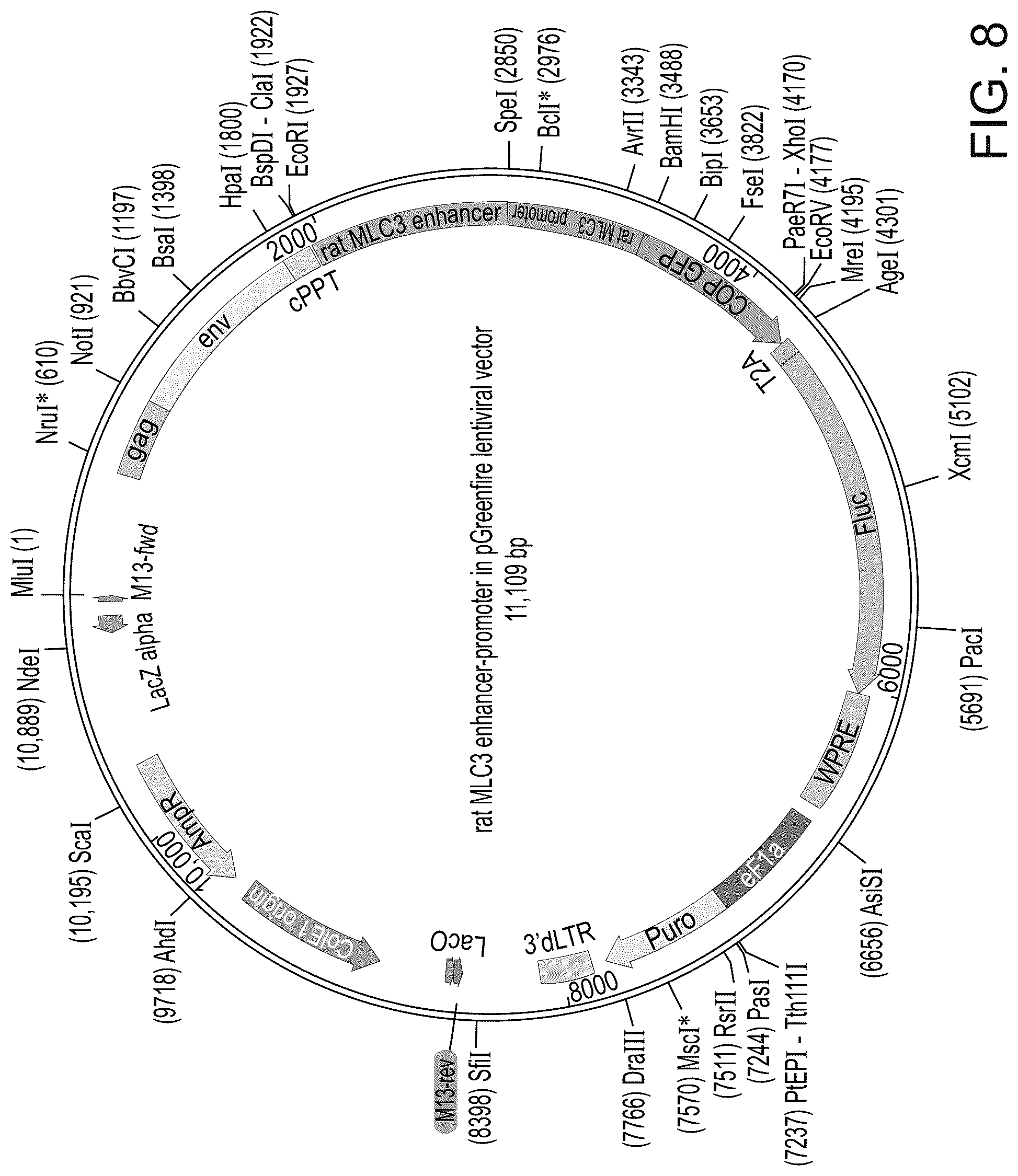 Patent US12325866 Figure 9 – Systems and methods for growing cells in vitro
