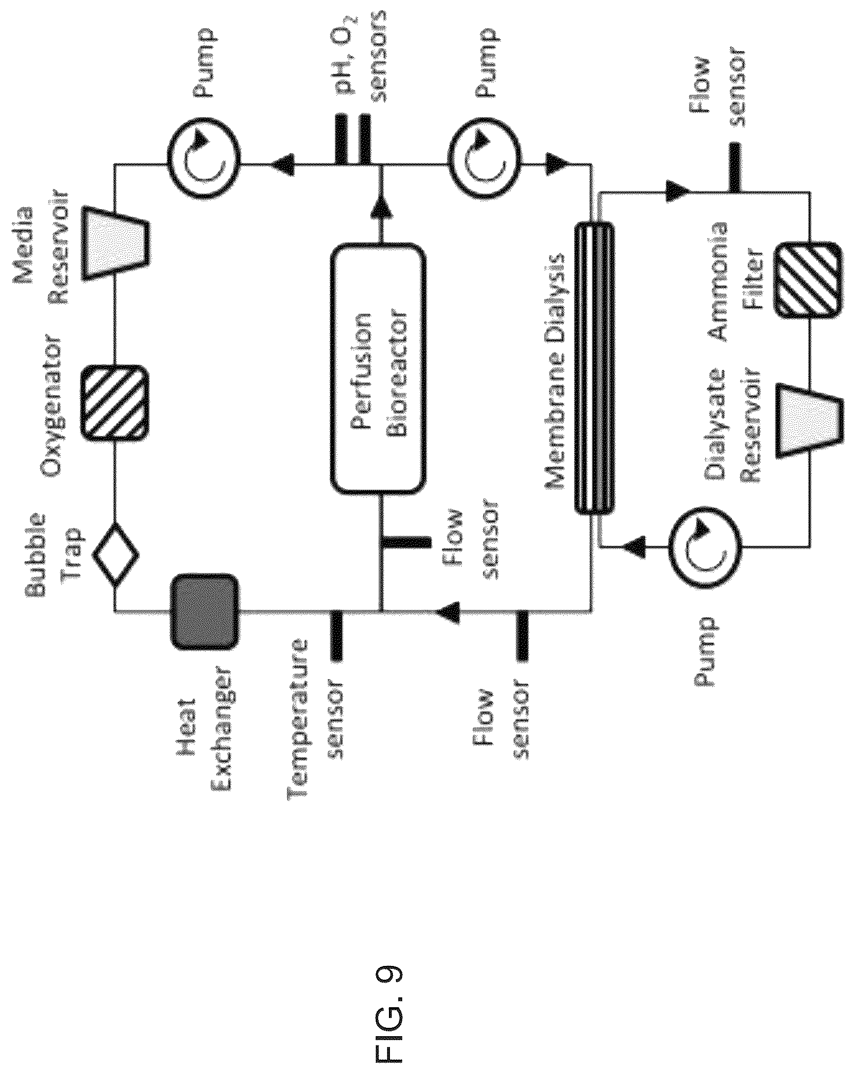 Patent US12325866 Figure 10 – Systems and methods for growing cells in vitro