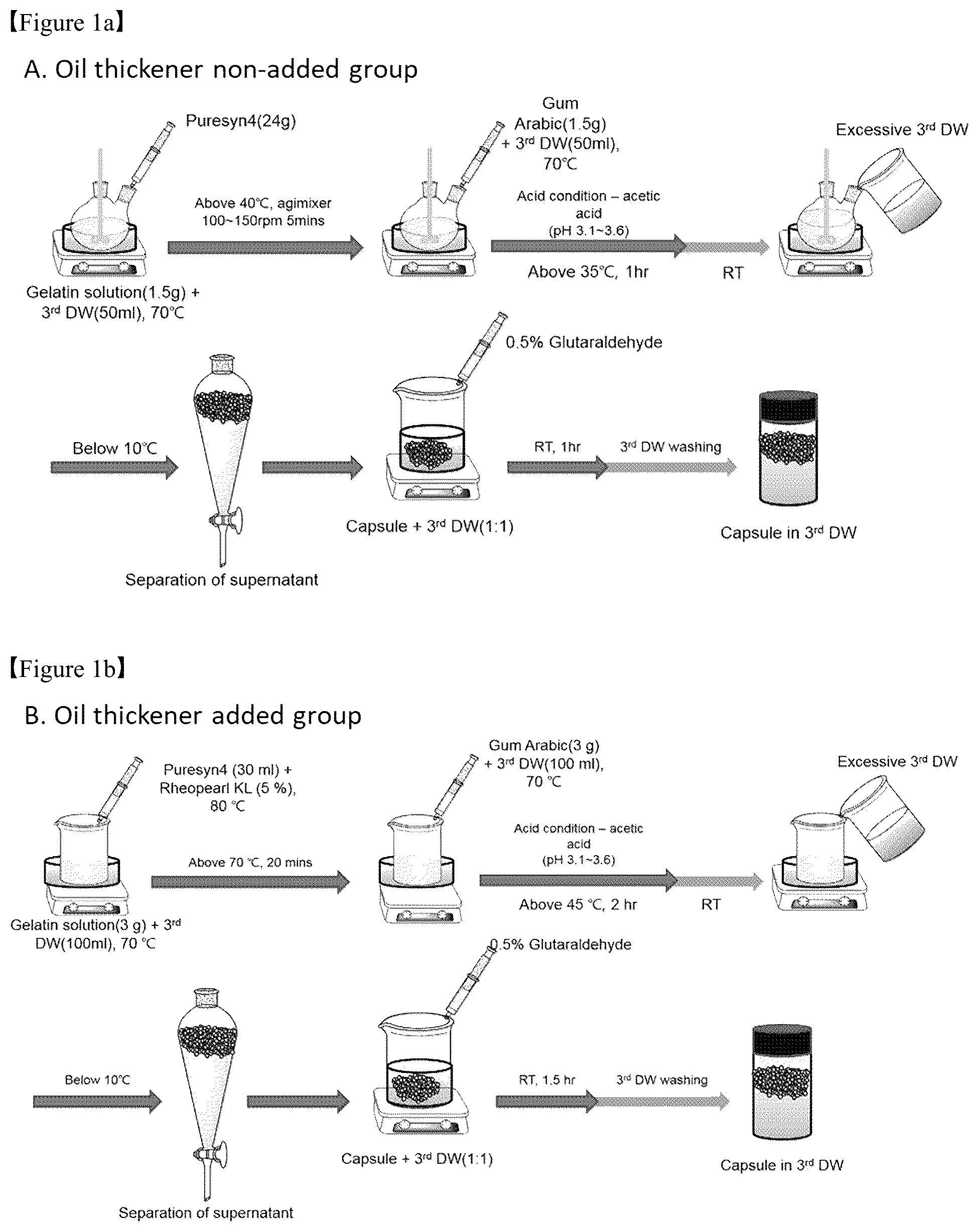 Patent US12325867 Figure 1 – Organoid produced using carrier for cell culture, and method for evaluating drug toxicity using same