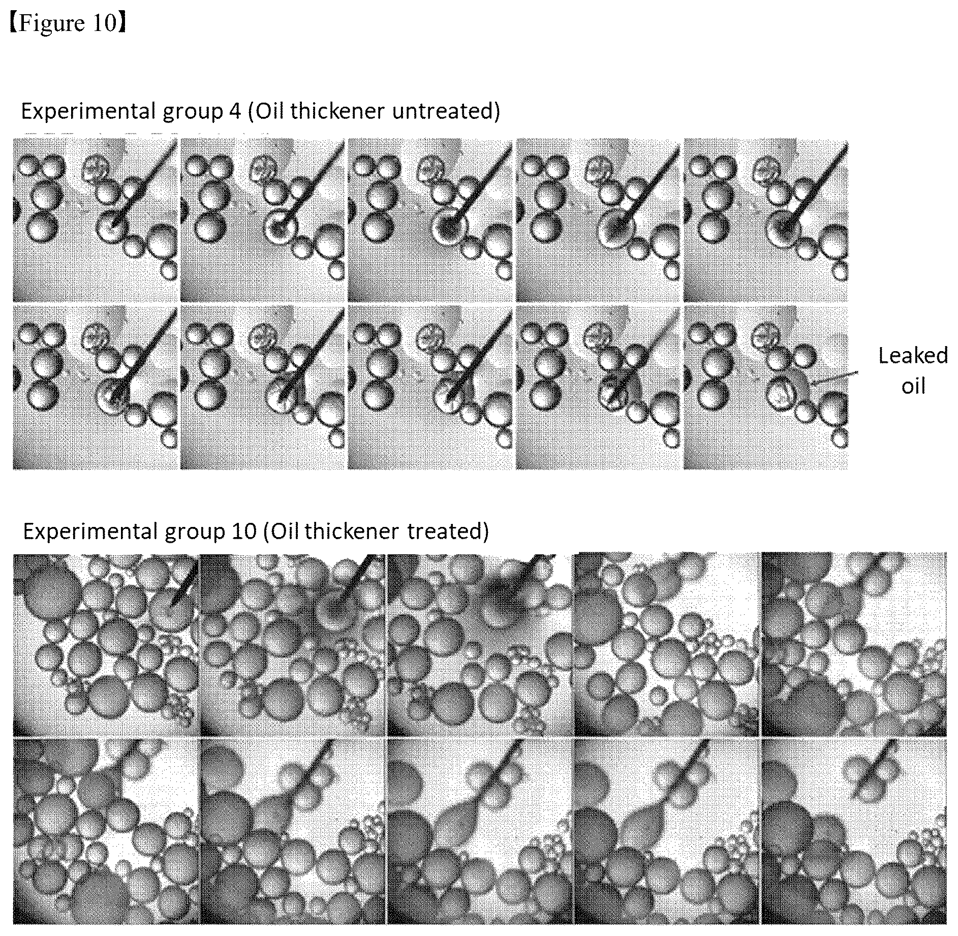 Patent US12325867 Figure 10 – Organoid produced using carrier for cell culture, and method for evaluating drug toxicity using same