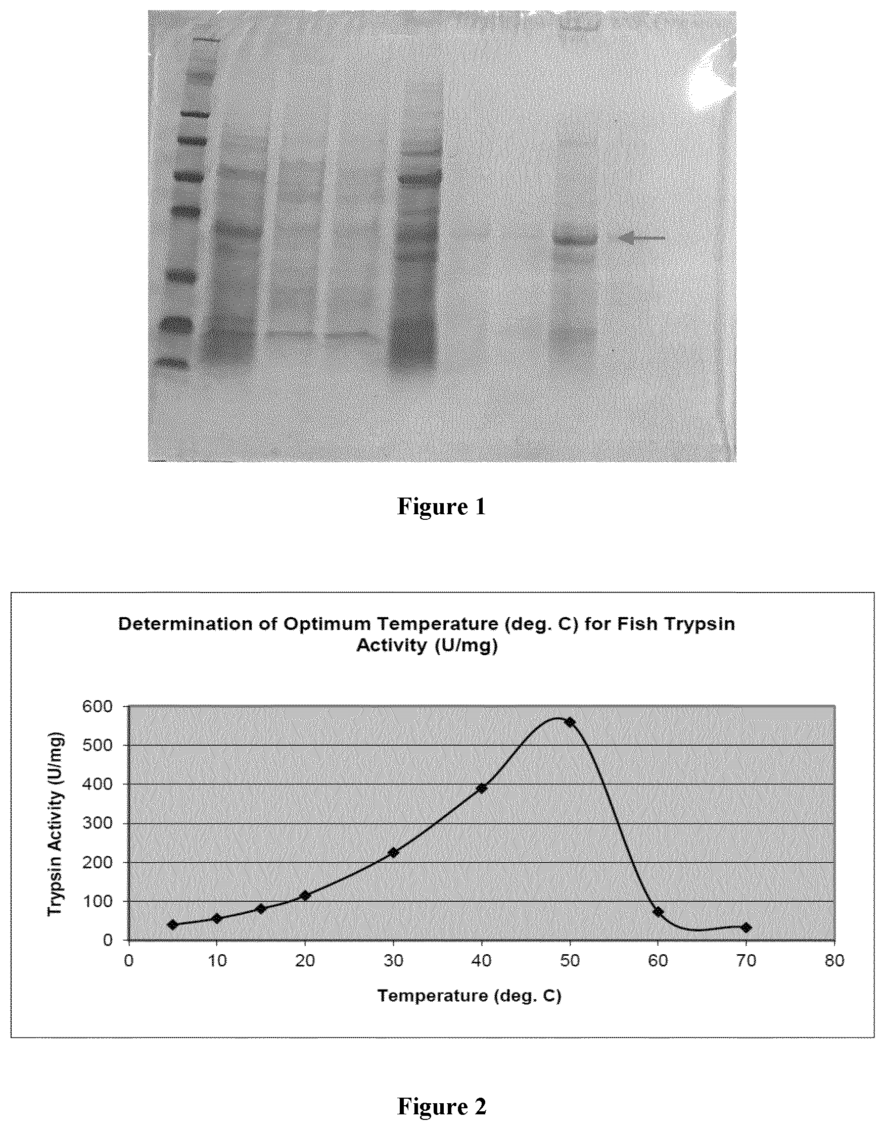 Patent US12325868 Figure 1 – Purified fish proteases with high specific activities and its process of production